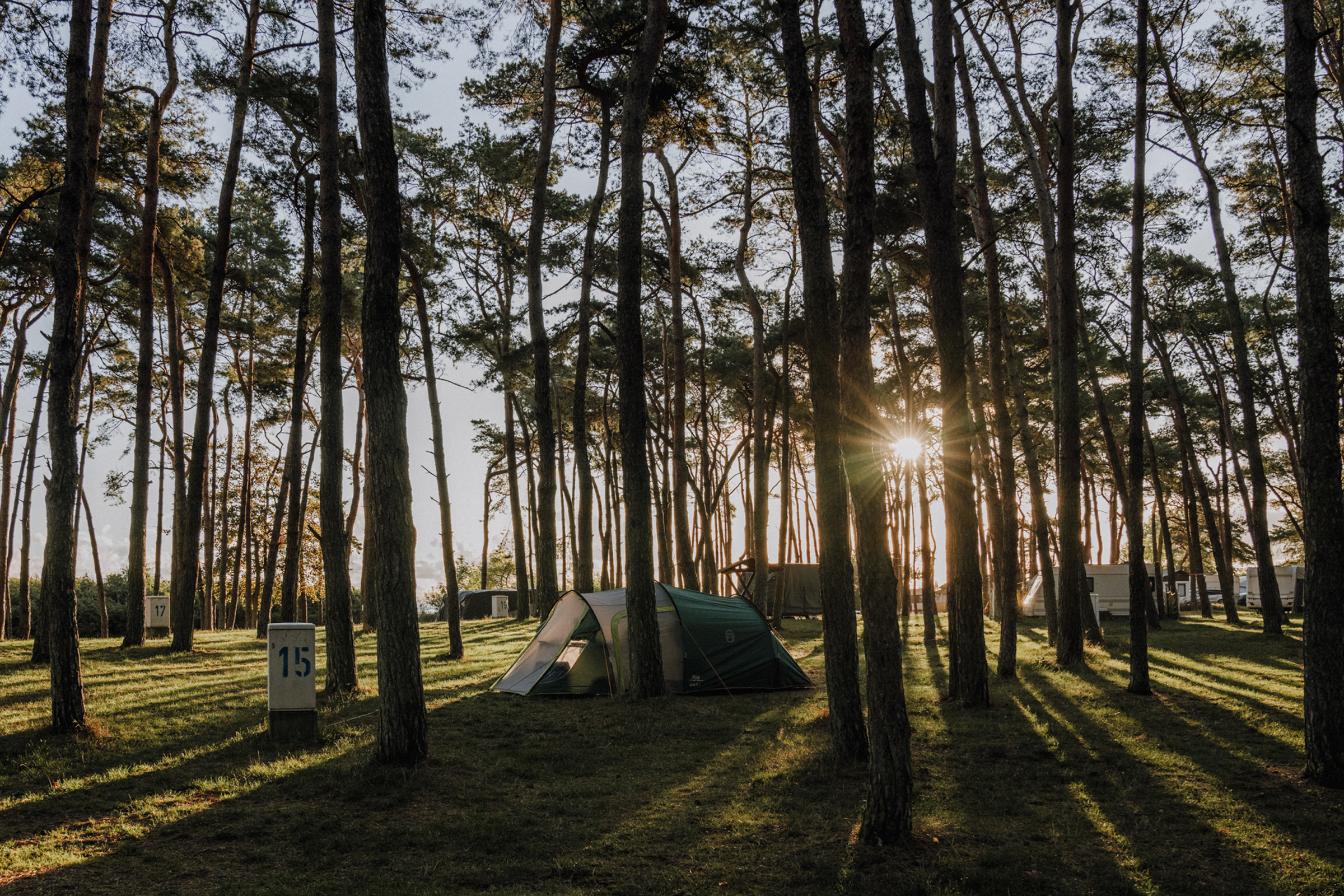 RÜGEN // ZELTWALD