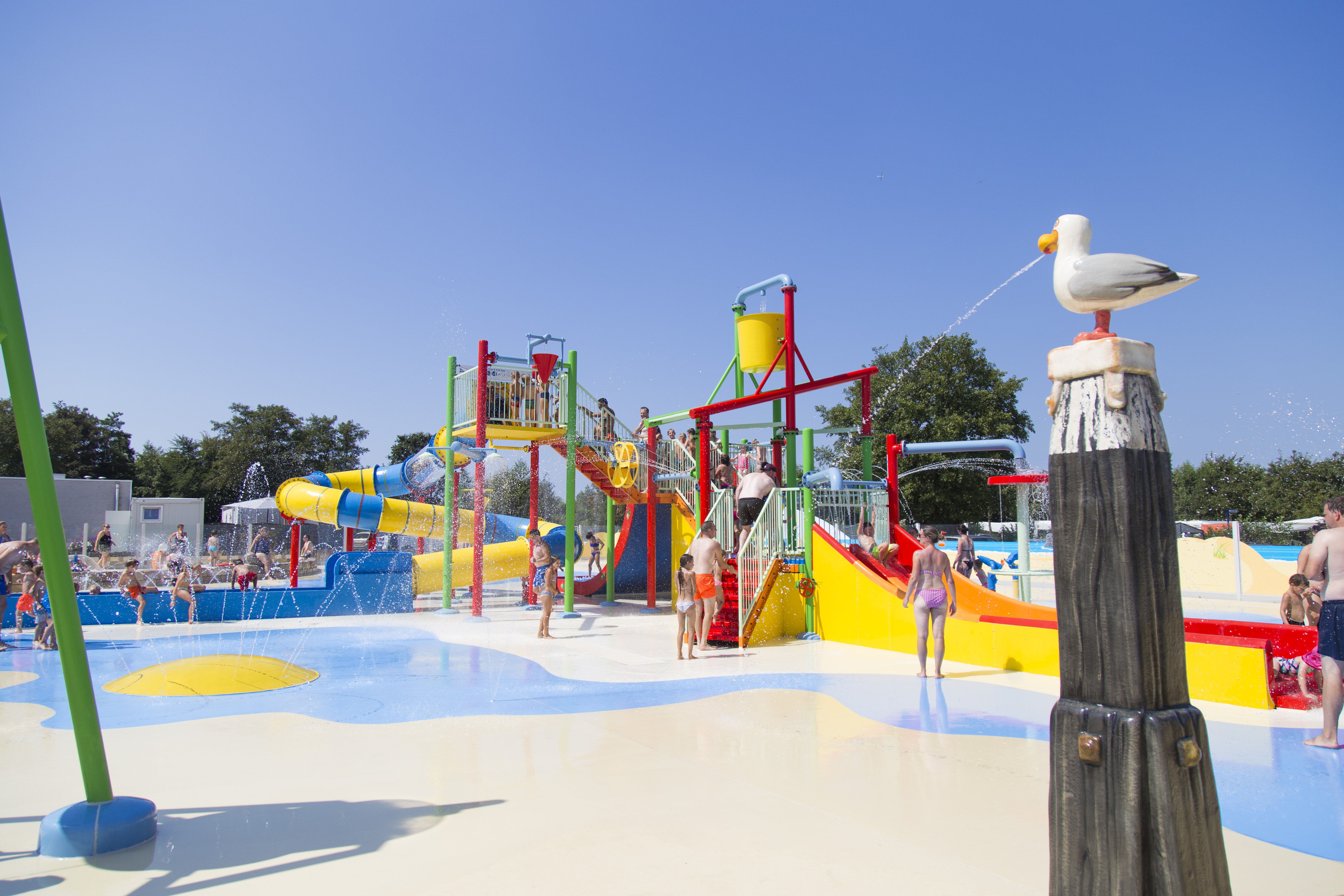 duinhoeve-chalet-vogel-huisdier-niet-toegestaan