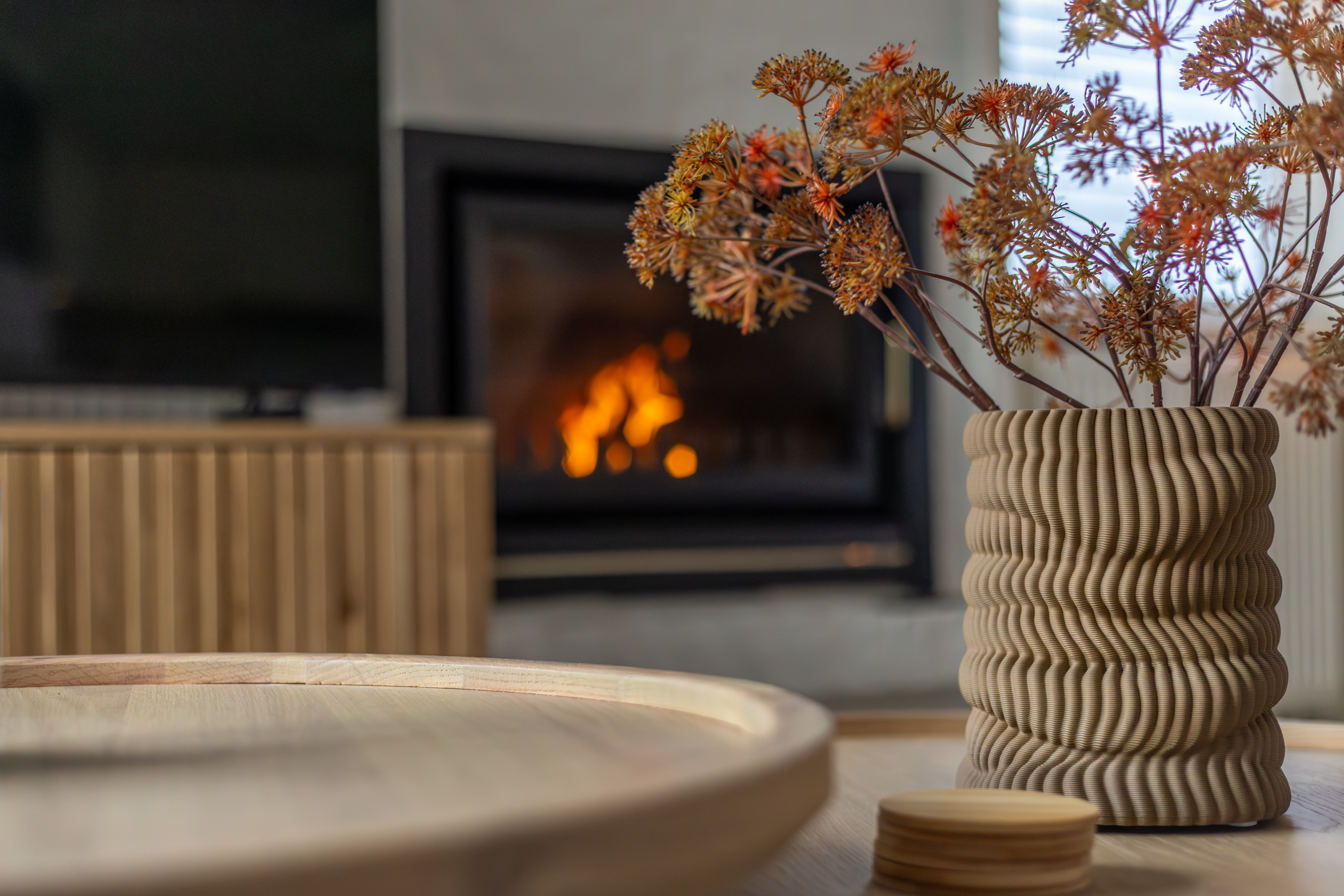 Ferienhaus in Hollum (Niederlande) und 6 Hunde erlaubt