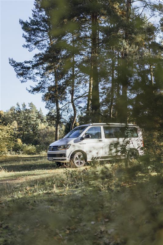 UCKERMARK // FORESTA SELVAGGIA