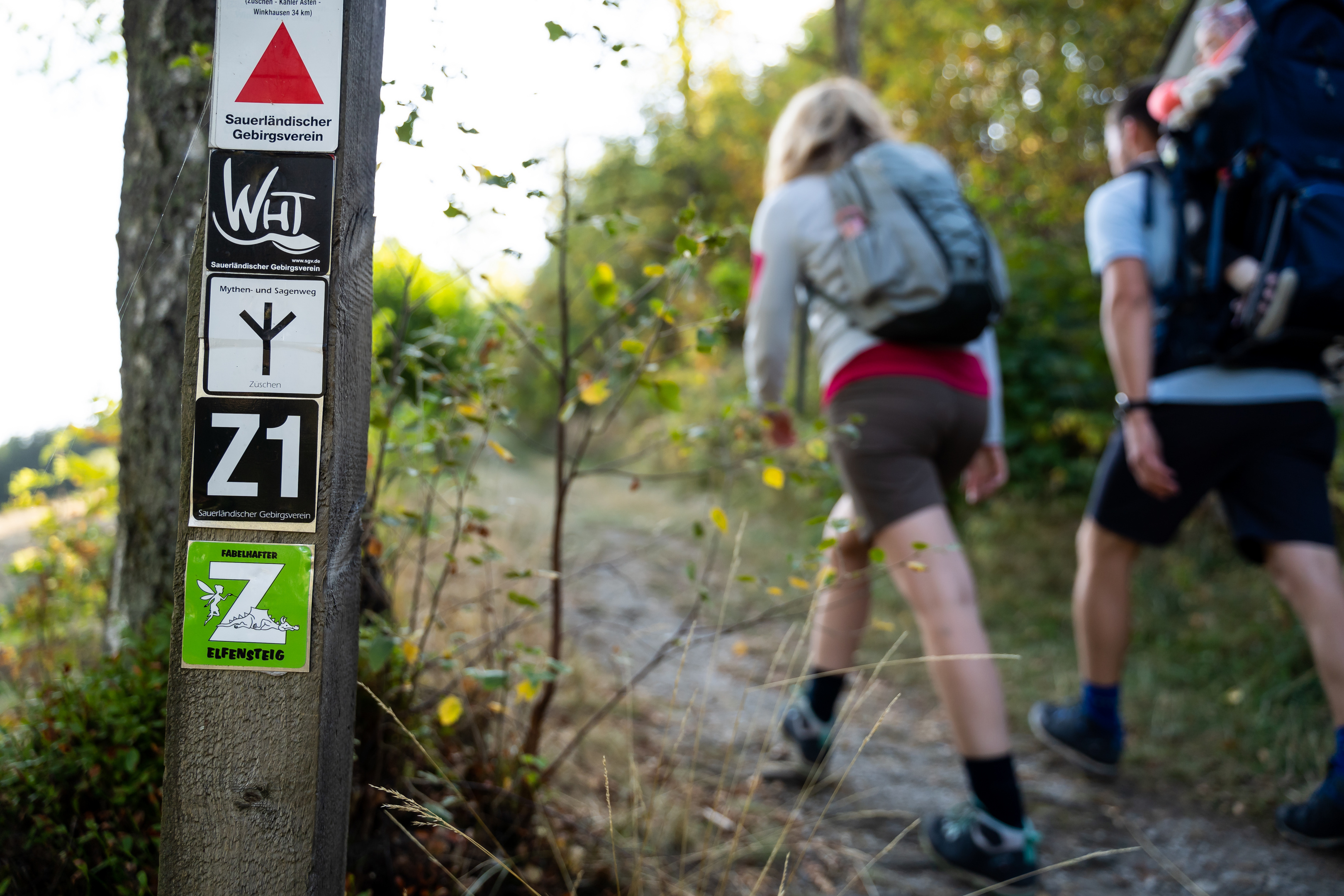 apartment-fichtenweg-31-b-winterberg