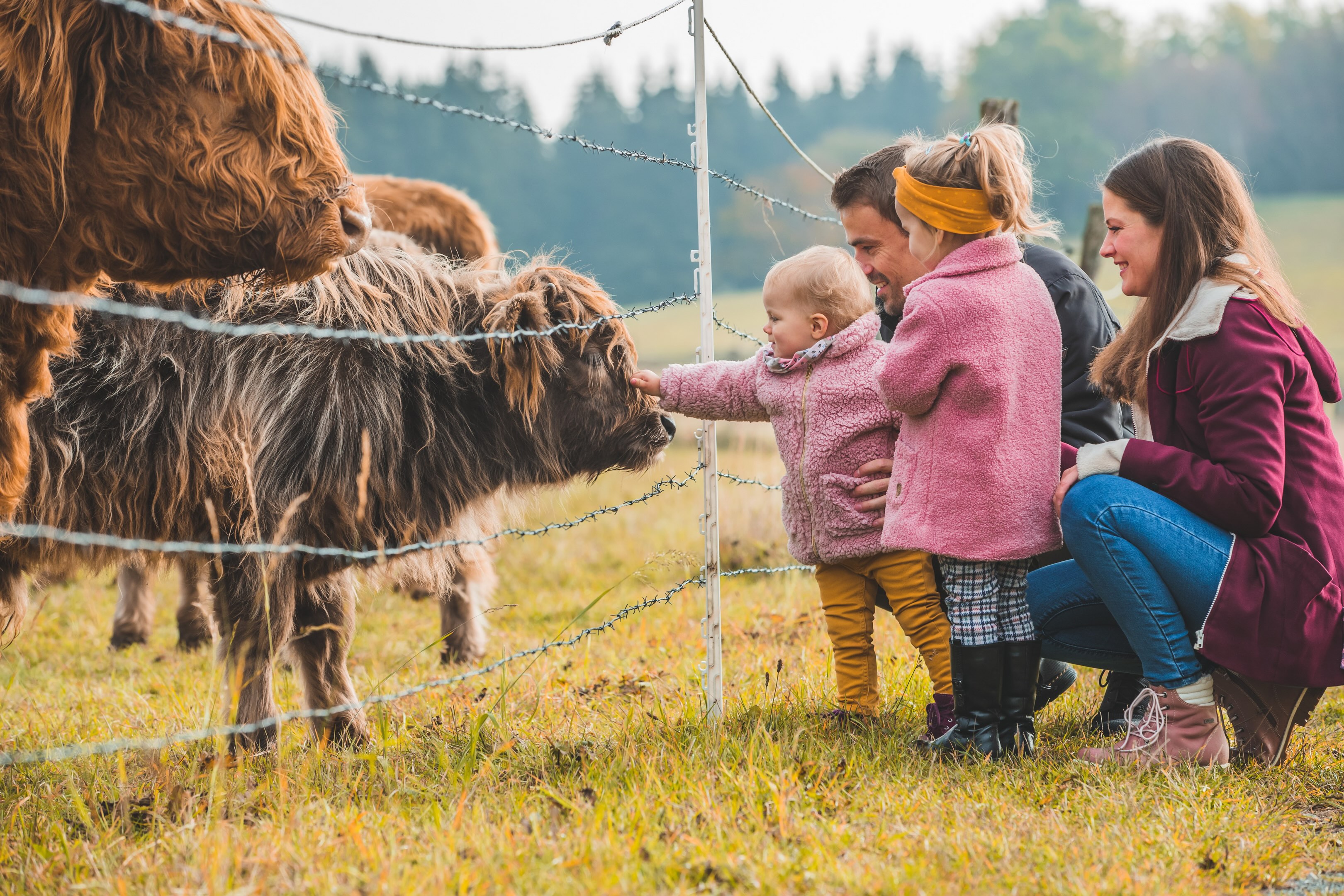 Apartment - Fichtenweg 31-B | Winterberg