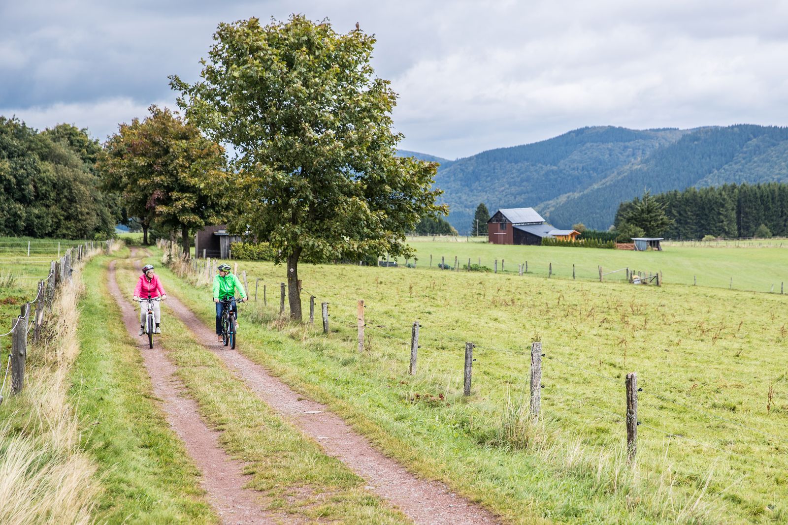 Apartment - Hackeschladenweg 15 