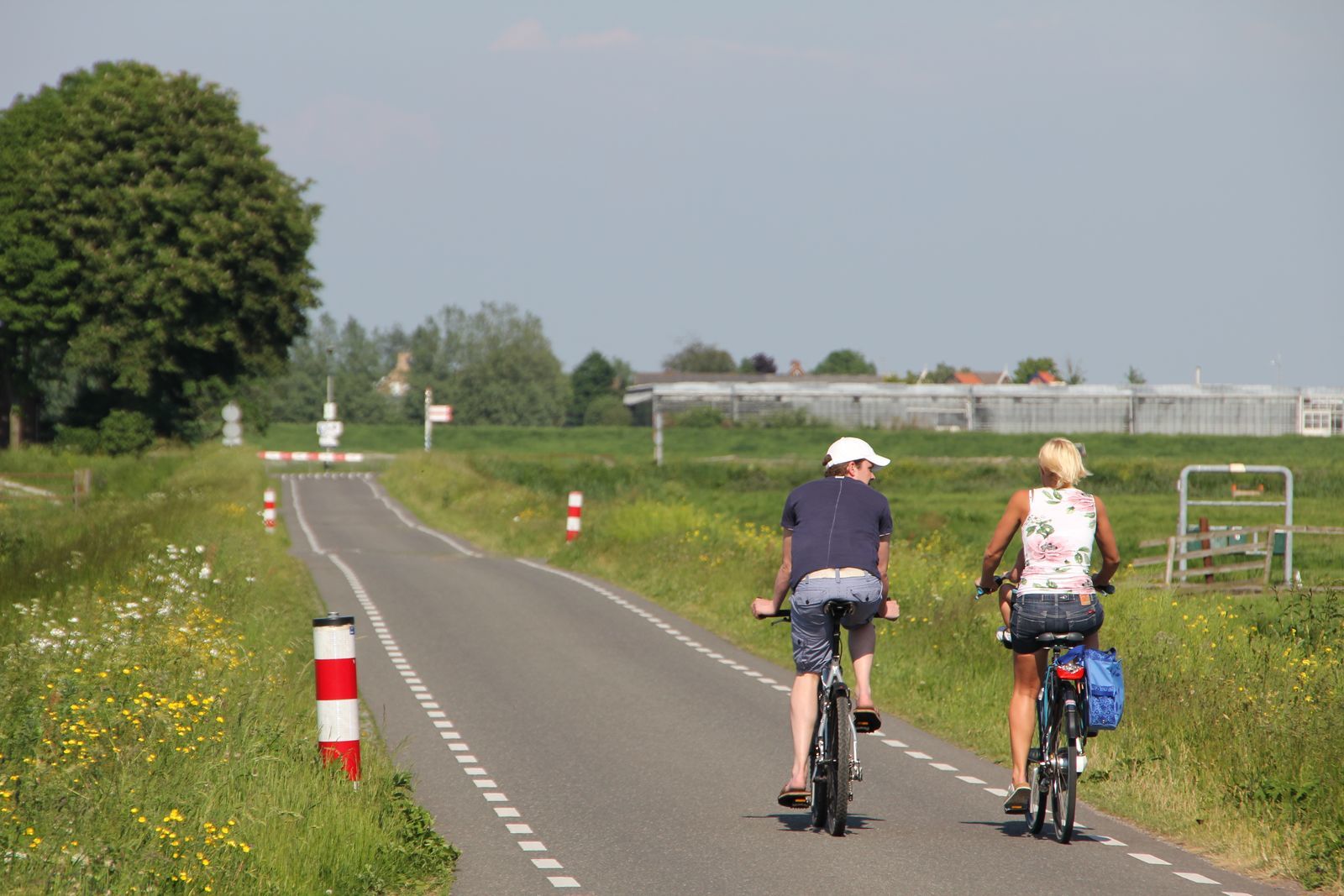 Chalet Randmeer