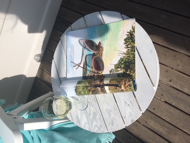 Slaapstrandhuisje - Strand Dishoek 342