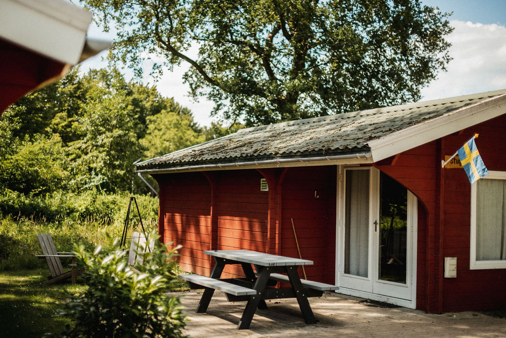 Vakantiehuis in Haarlo (Nederland) 2 honden zijn welkom