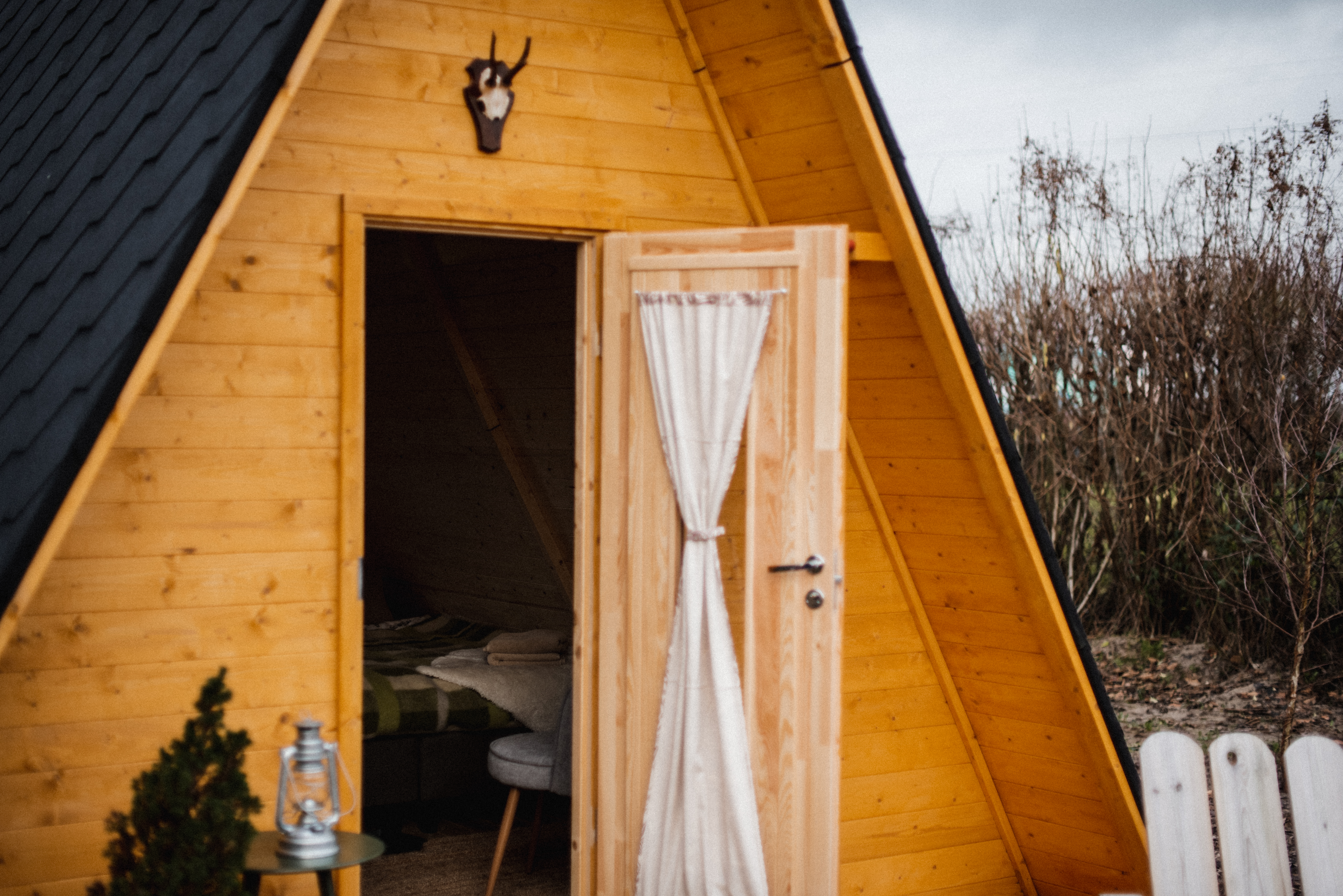 Vakantiehuis in Haarlo (Nederland) 2 honden zijn welkom