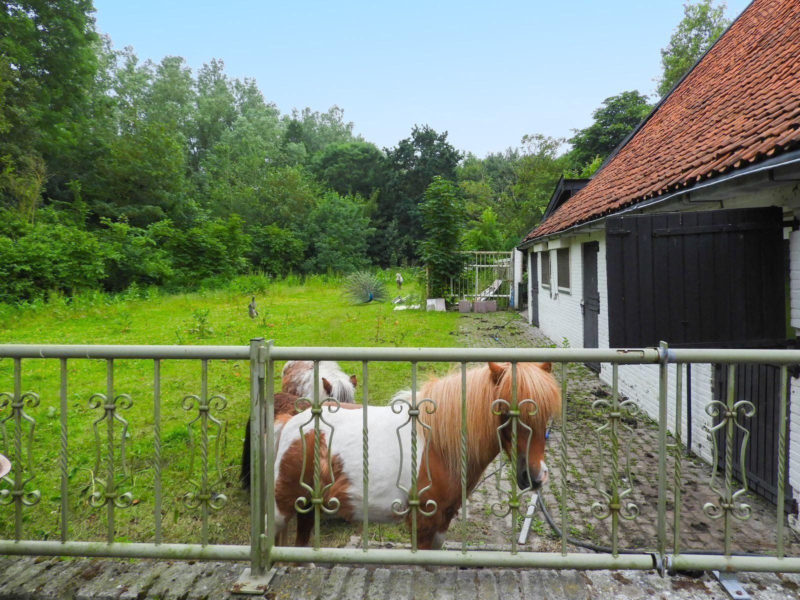 VZ076 Gruppenunterkunft in Noordwelle