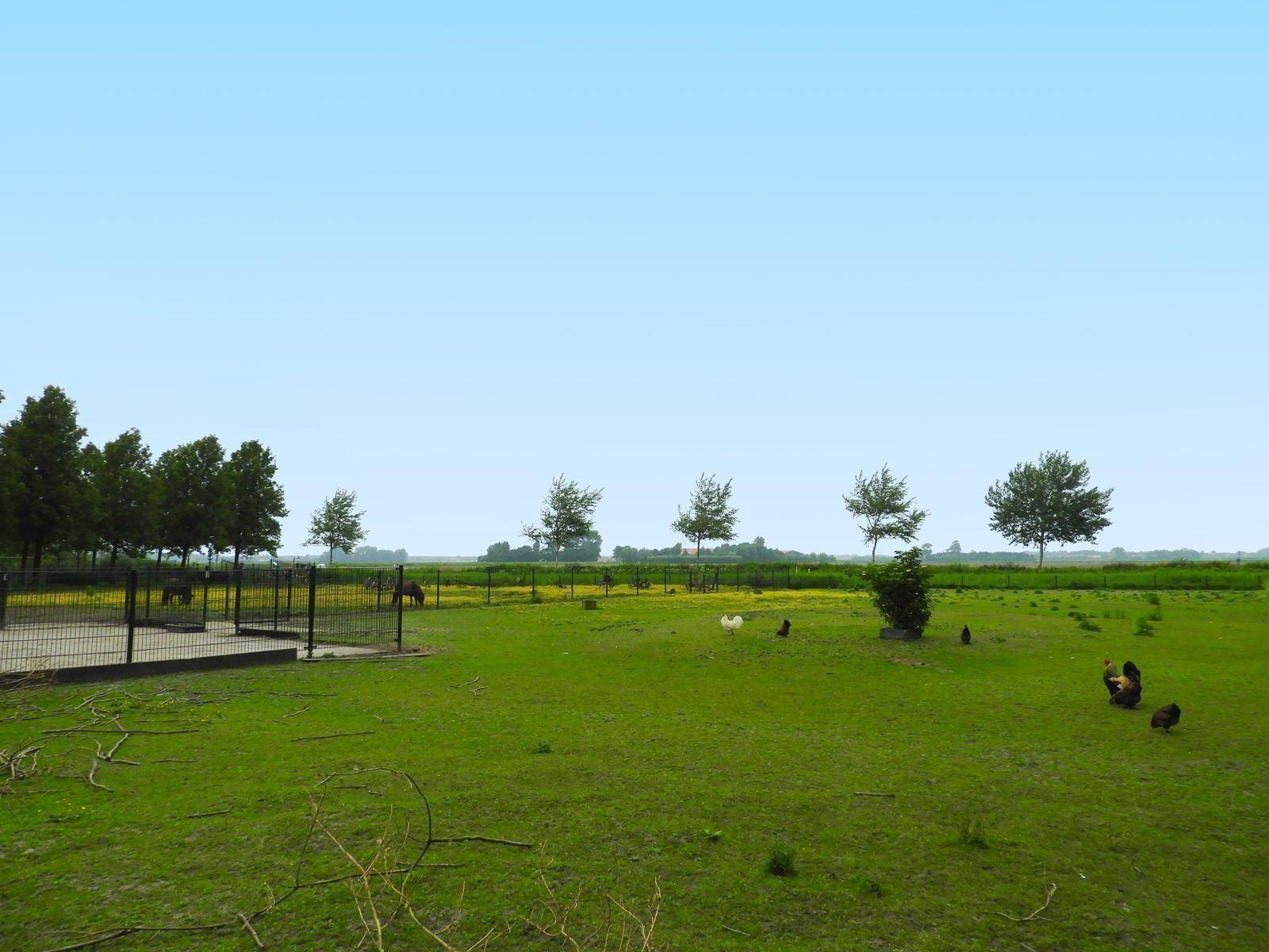 VZ076 Gruppenunterkunft in Noordwelle