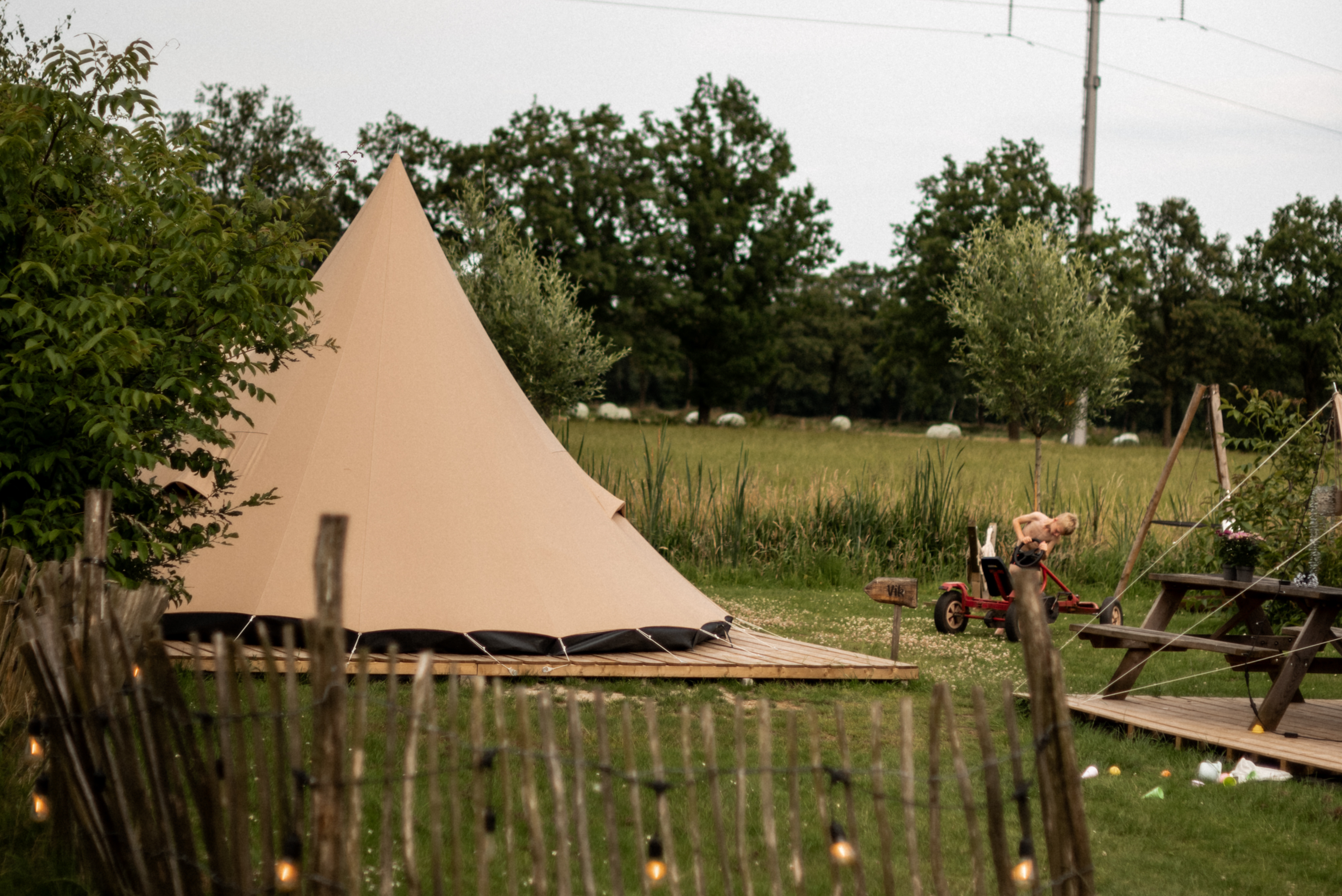 Vakantiehuis in Haarlo (Nederland) 2 honden zijn welkom