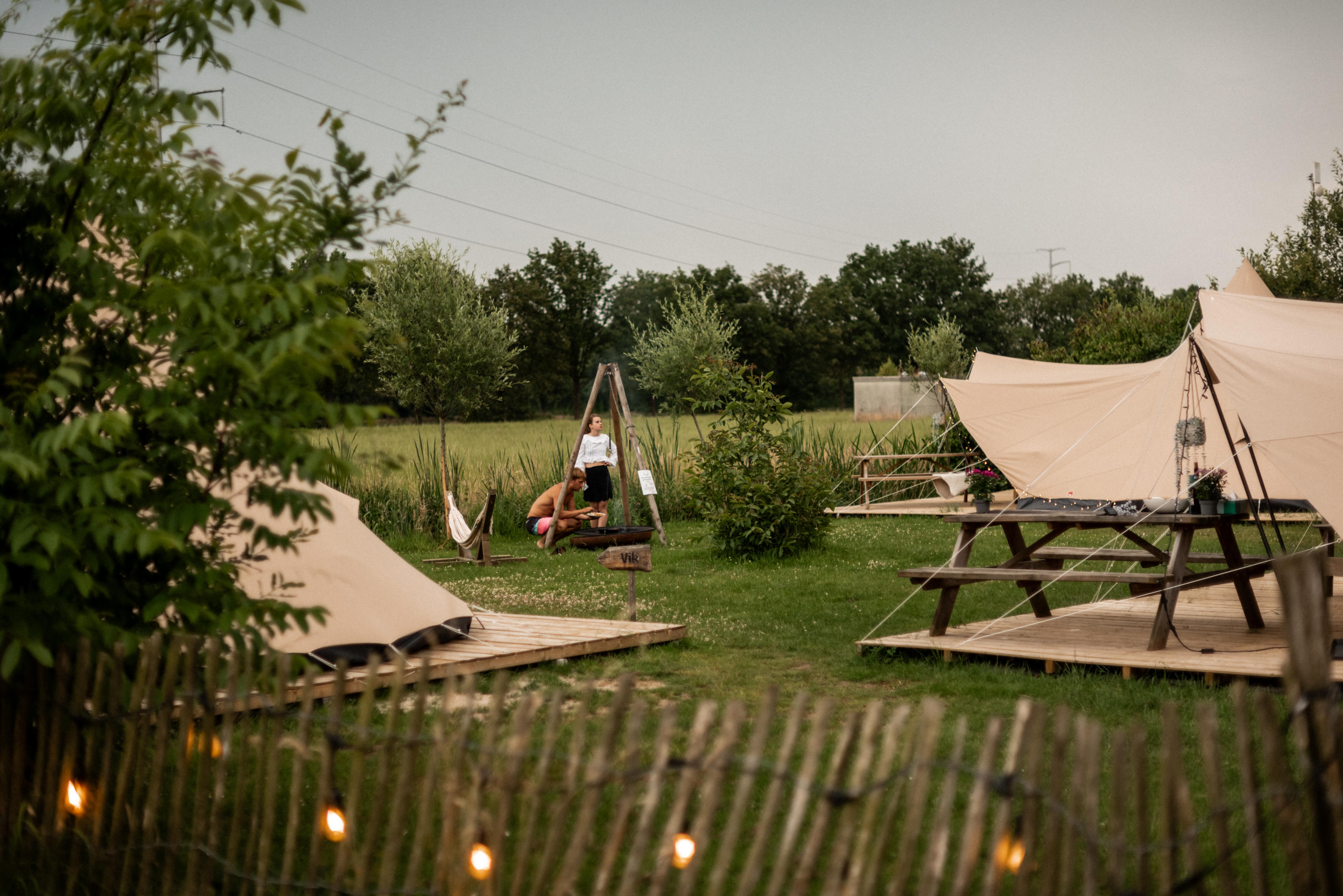 Vakantiehuis in Haarlo (Nederland) 2 honden zijn welkom