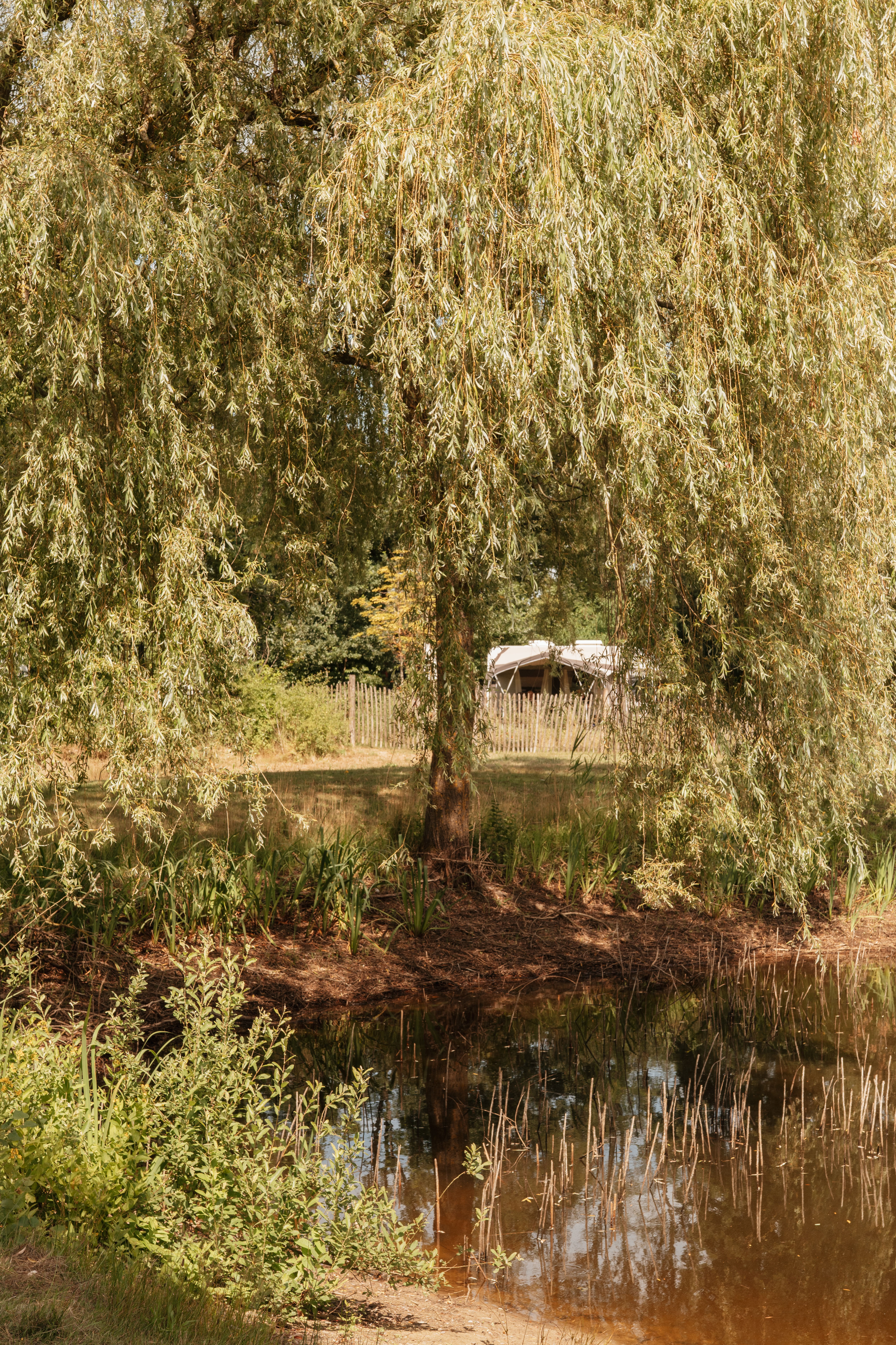 Komfort-Plus-Stellplätze