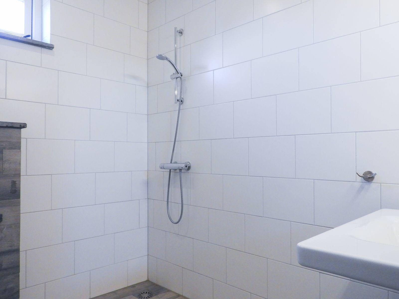 VZ272 Ferienhaus Ellemeet