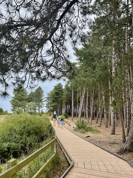 Beach Hut Hire | Pinewoods Holiday Park