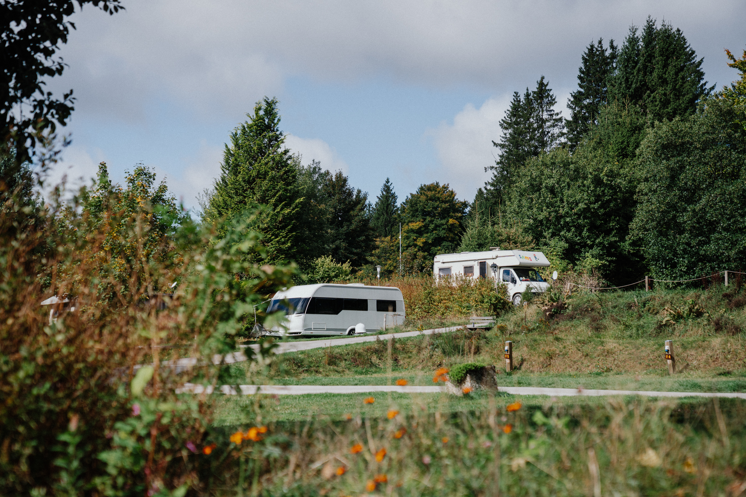 HARZ // LARGE