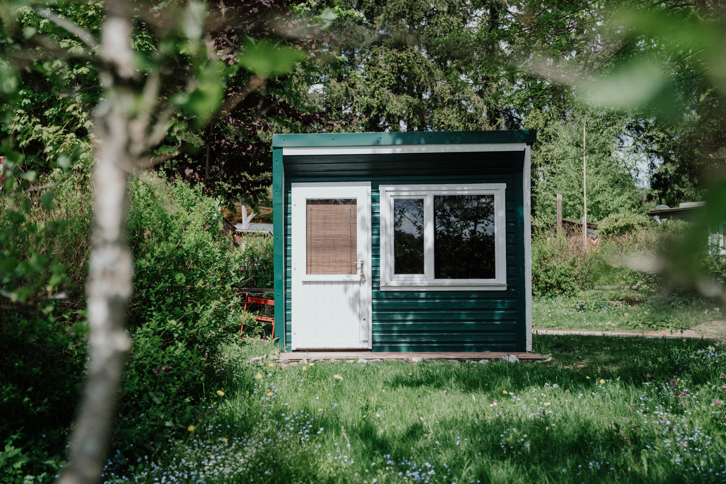 HARZ // CABIN TRAIL
