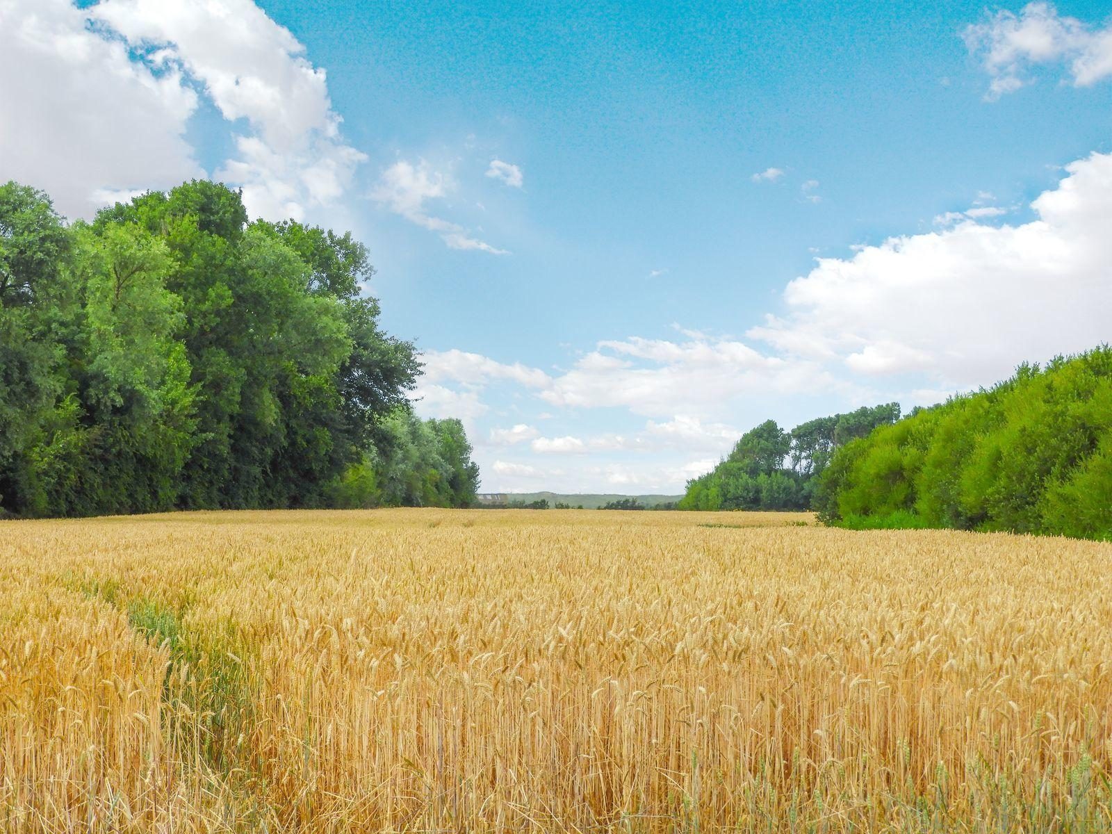 VZ 130 Gruppenunterkunft Westkapelle