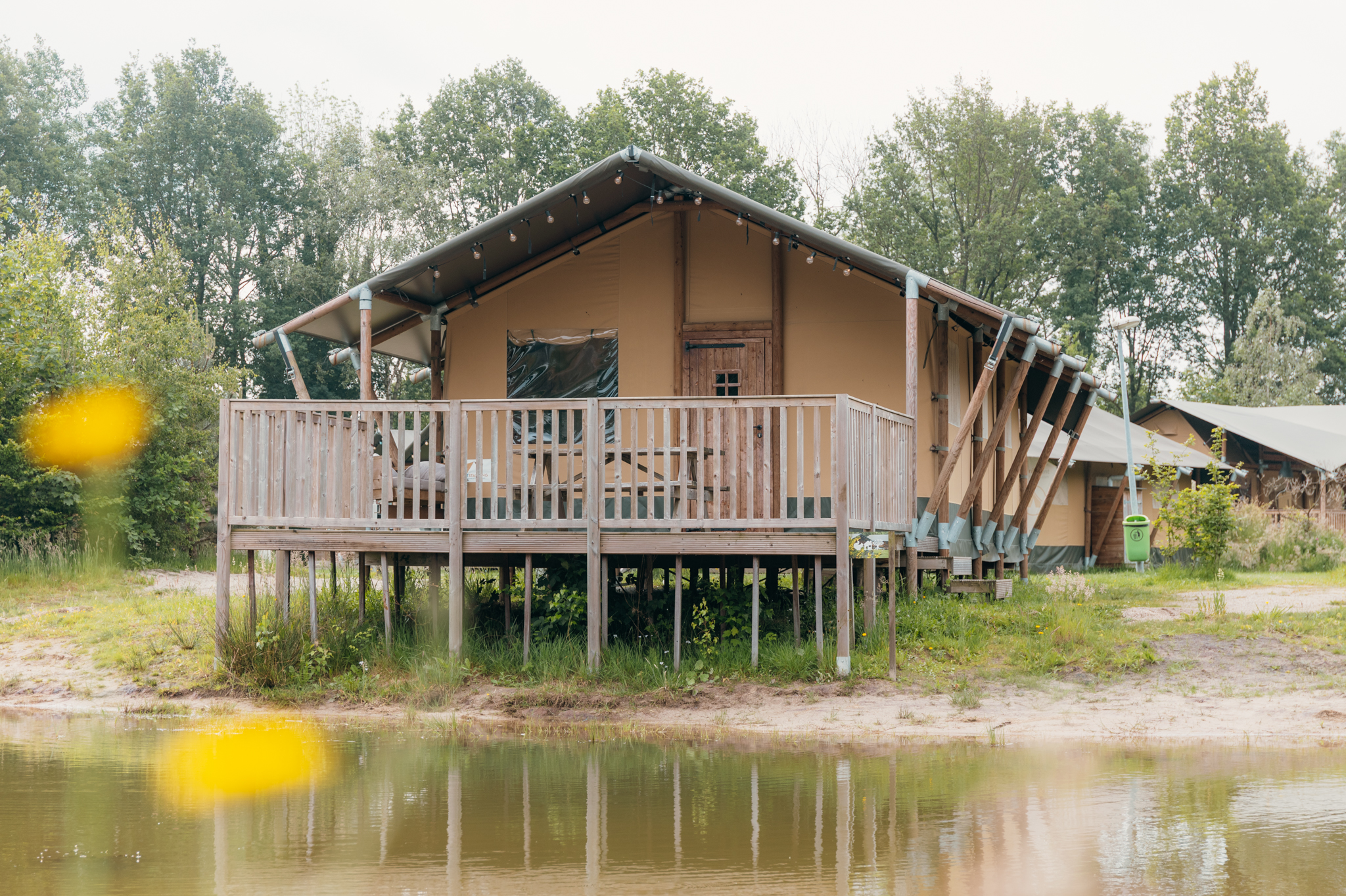 Ferienhaus in Nieuw Heeten (Niederlande) und 2 Hunde erlaubt