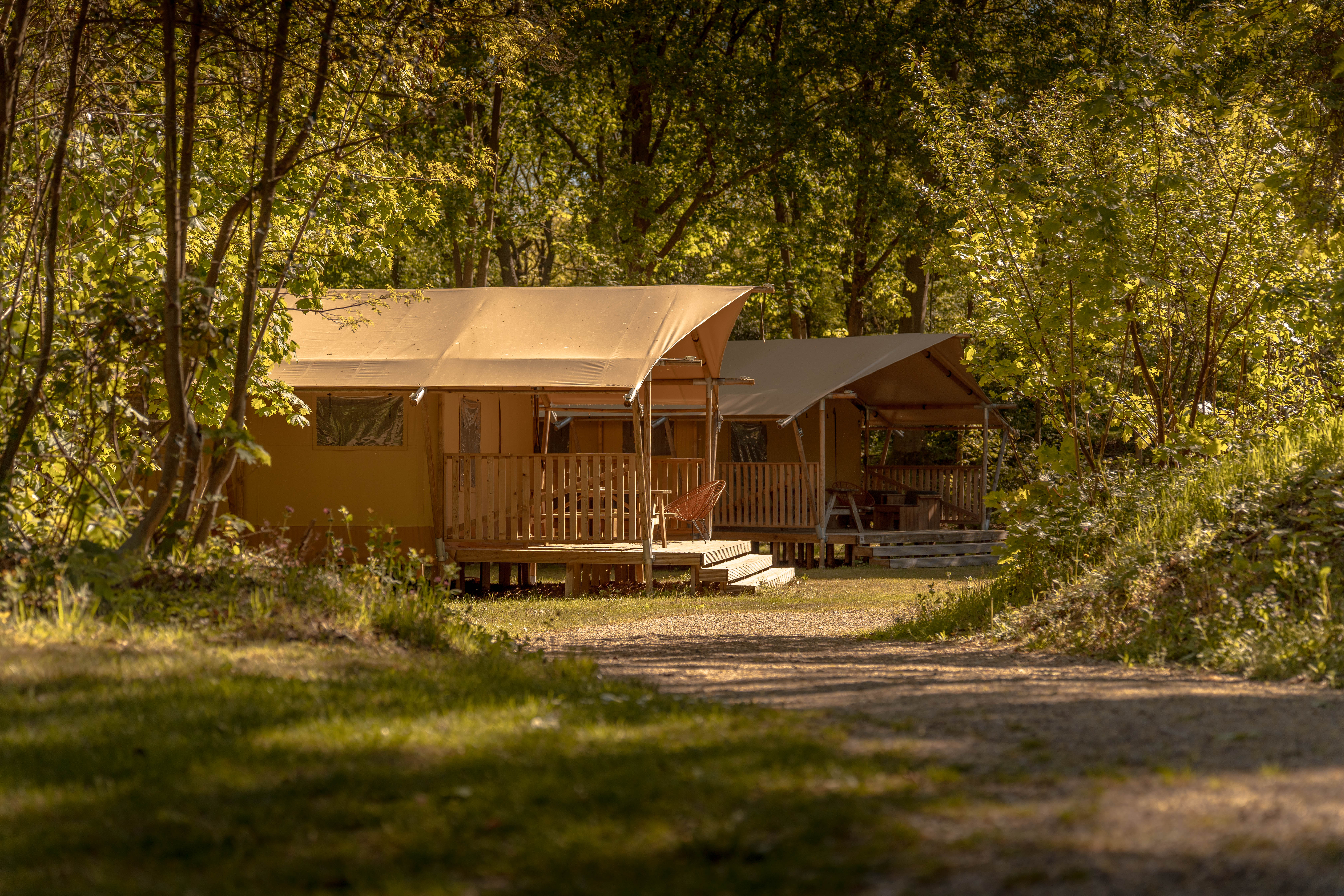 Ferienhaus in Huizen (Niederlande) und 2 Hunde erlaubt