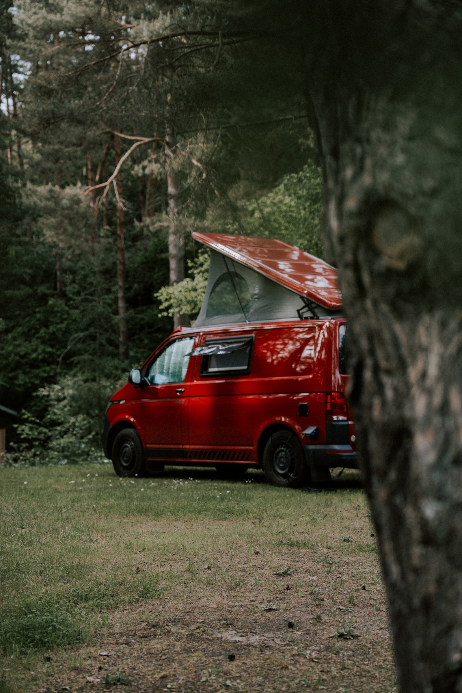 UCKERMARK • FORÊT SAUVAGE