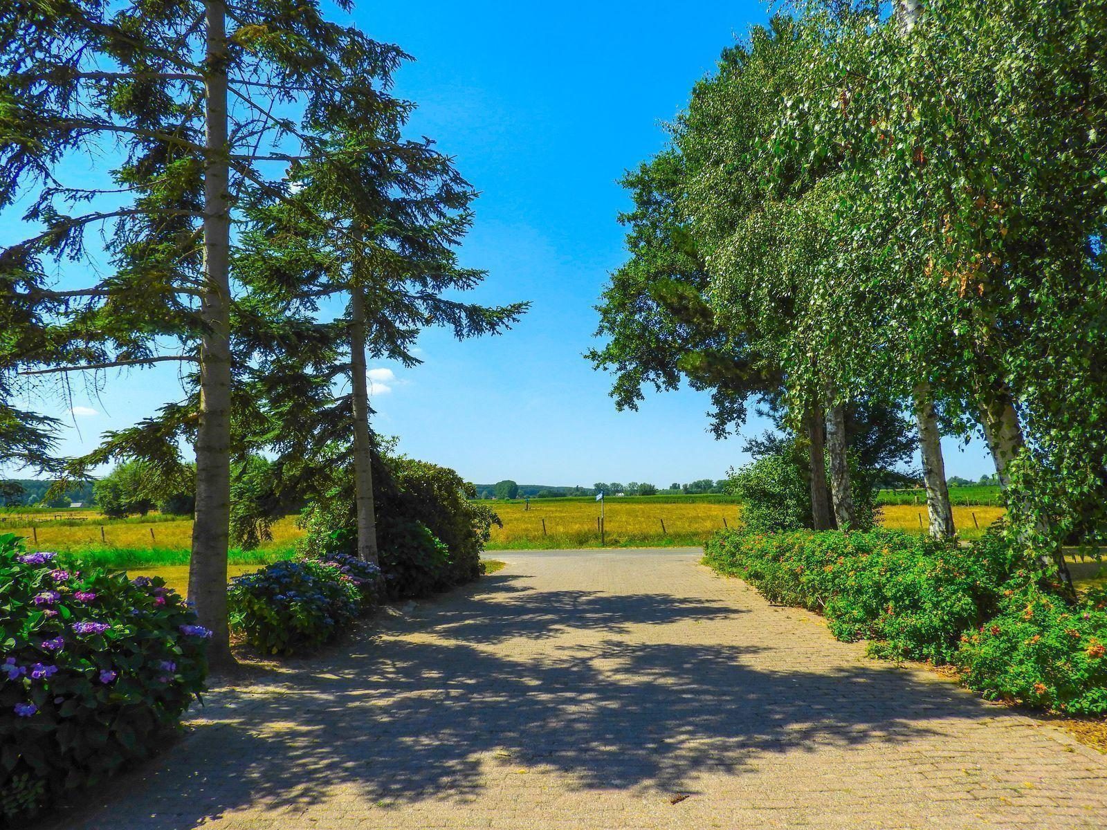 VZ206 Holiday home Sluis