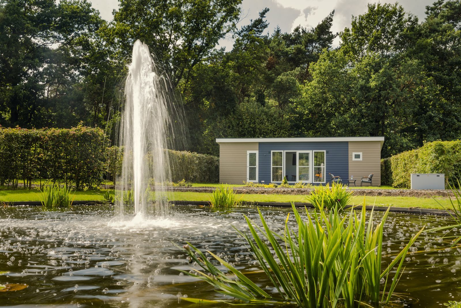 Cosy cabin | 4 Personen