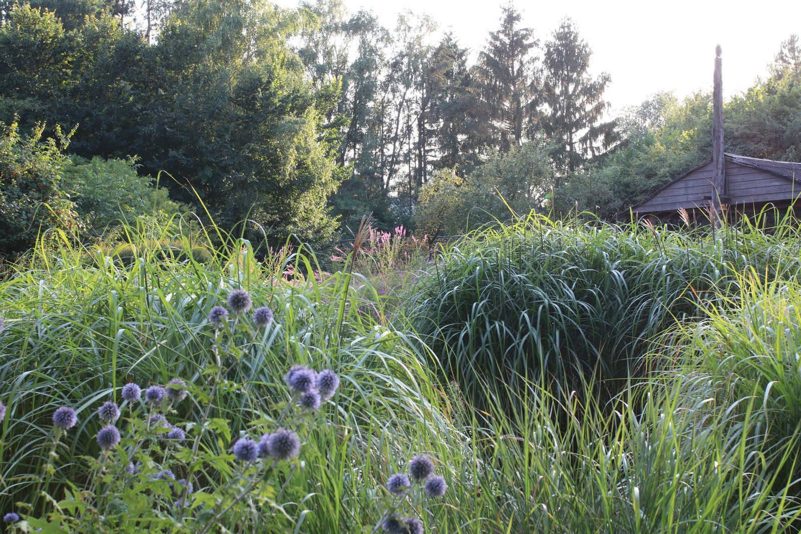 Huize Stoffels familiehuis op de Veluwe