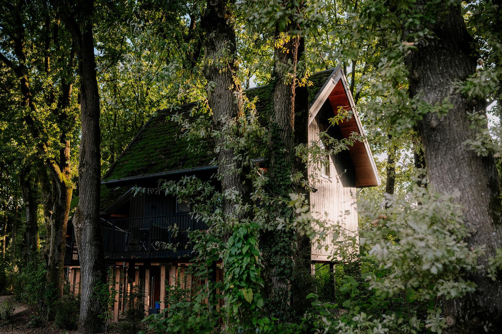 Nature Villa with Hottub & Sauna | 5 people – afbeelding 4