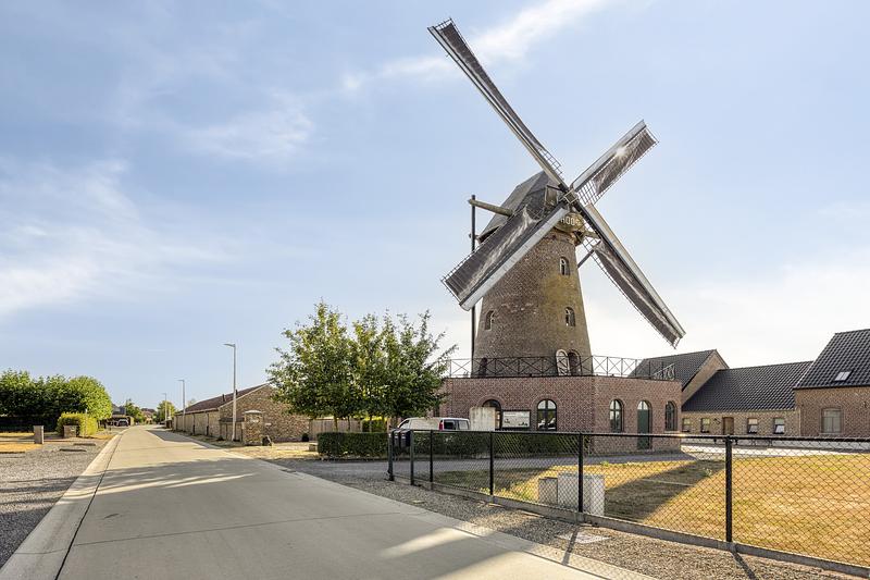 Windmolen De Hoop — photo 14 of 51