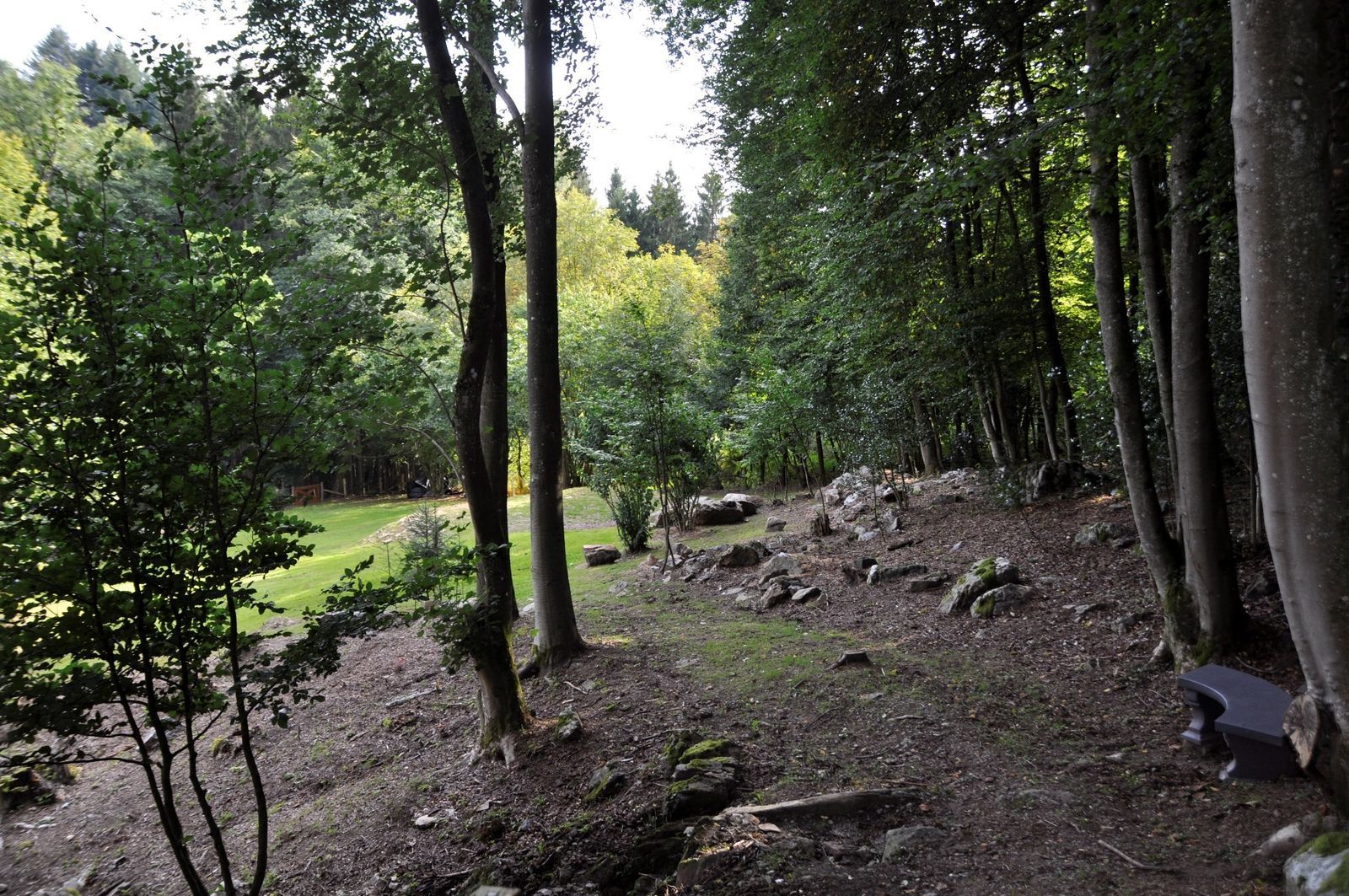 Landhuis la Forêt Ardennen - luxe vakantiehuis voor families