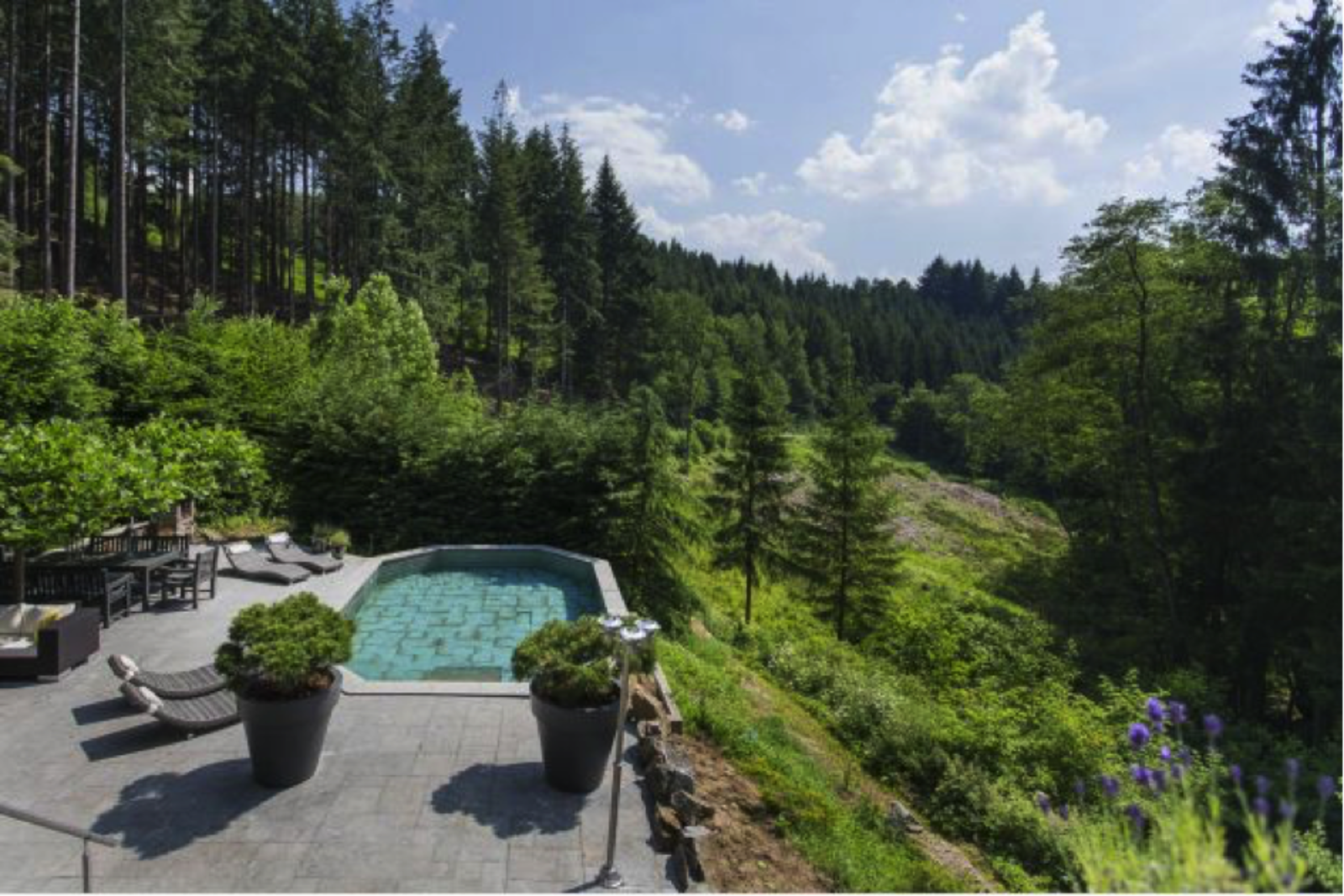 Landhuis la Forêt Ardennen - luxe vakantiehuis voor families