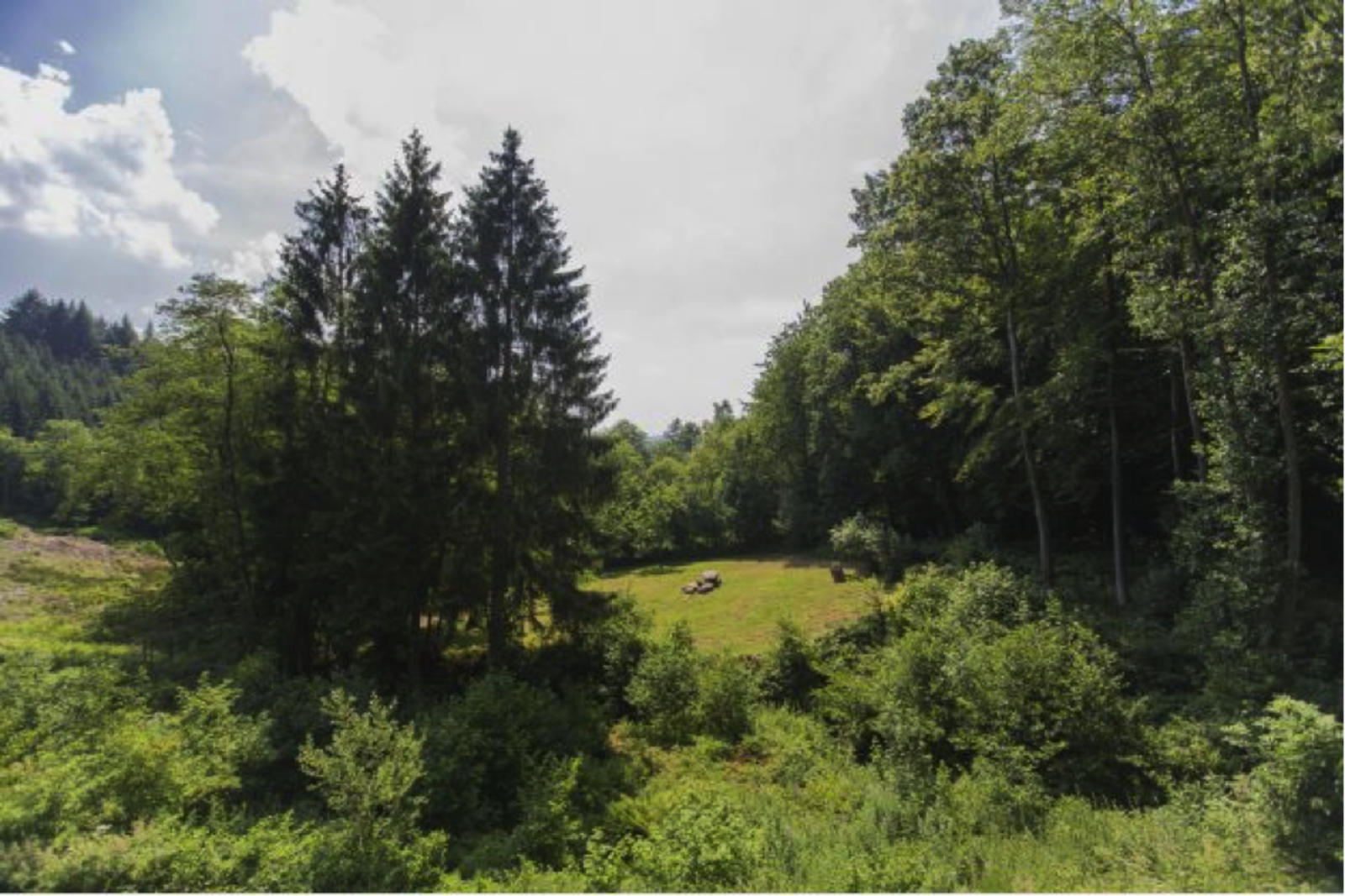 Landhuis la Forêt Ardennen - luxe vakantiehuis voor families