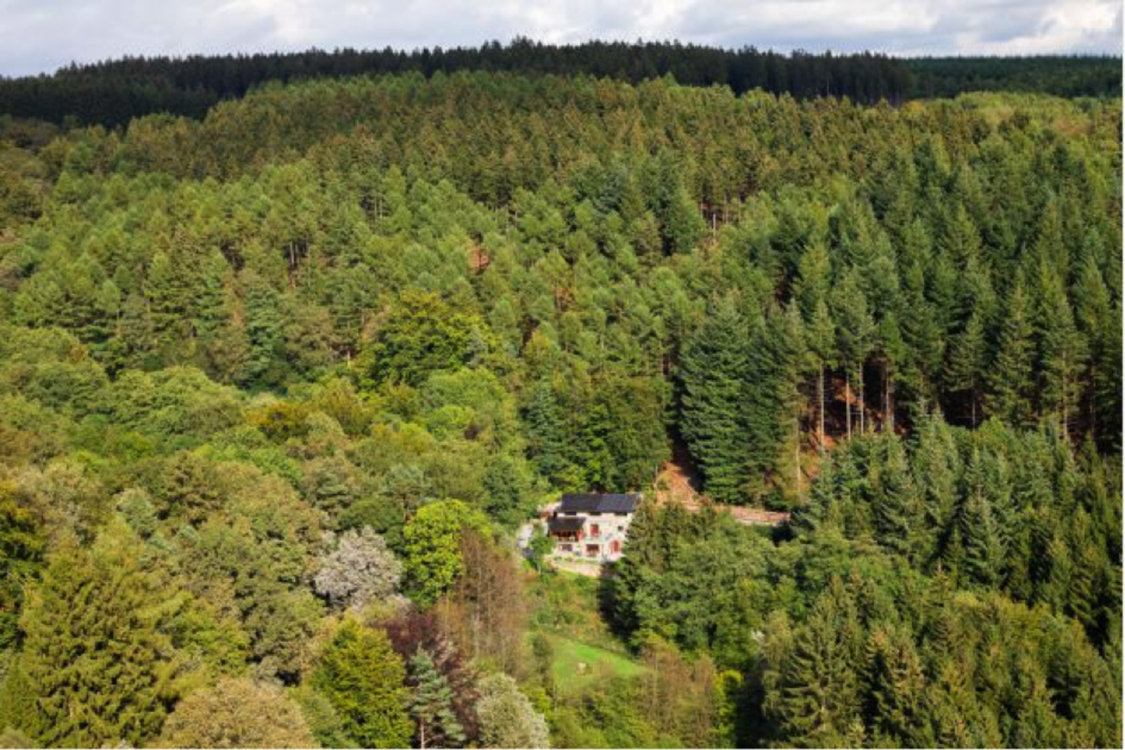 Landhuis la Forêt Ardennen - luxe vakantiehuis voor families
