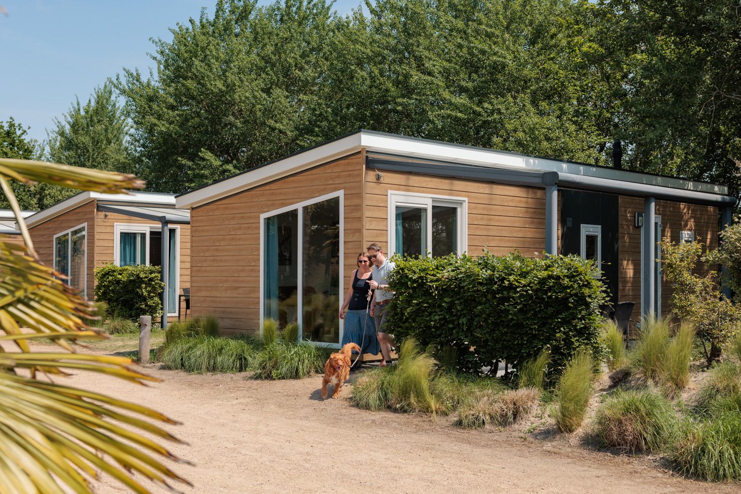 Vakantiehuis in Vrouwenpolder (Nederland) 2 honden zijn welkom