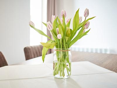 Komfort-Ferienhaus | Haustiere erlaubt | 4 Personen