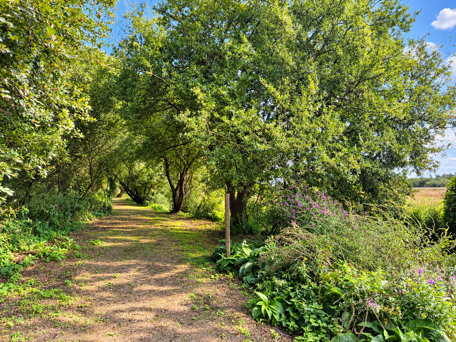 Riverside Retreat Pitches 252 to 261