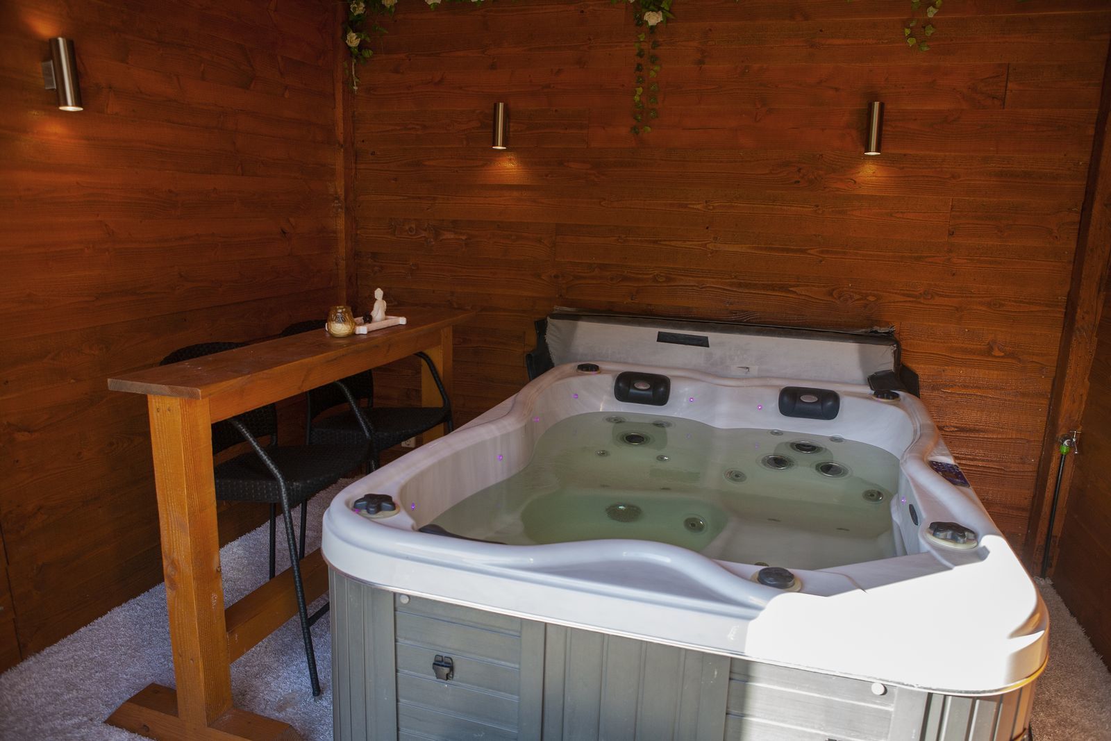 4 person Veluwe lodge Wellness Plus