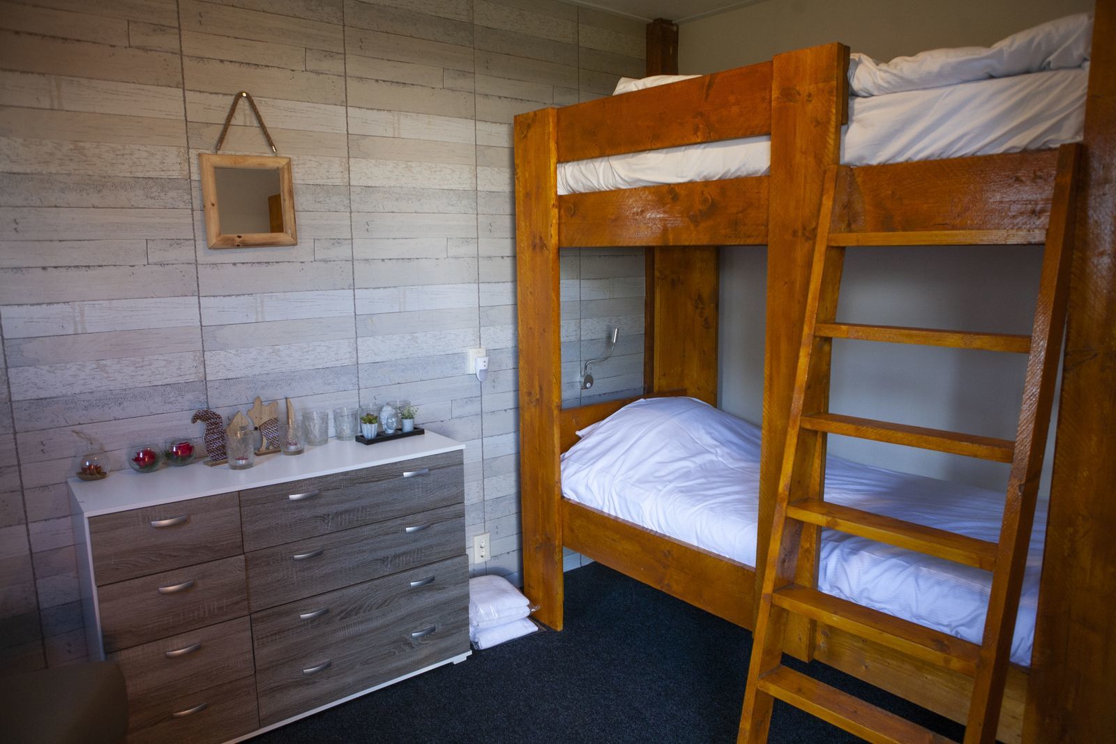 4 person Veluwe lodge Wellness Plus