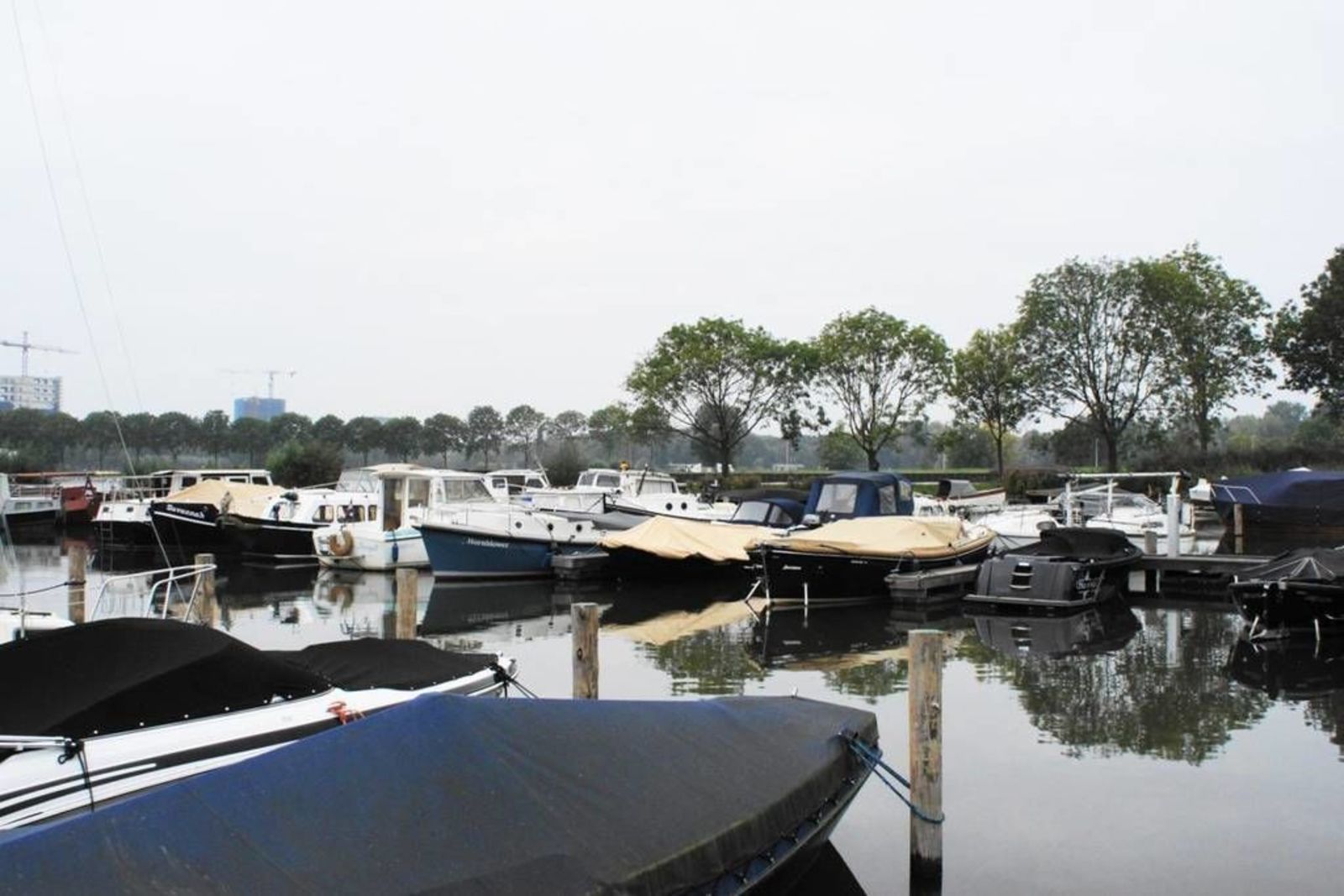 Havenlodge 4 persons in Amsterdam