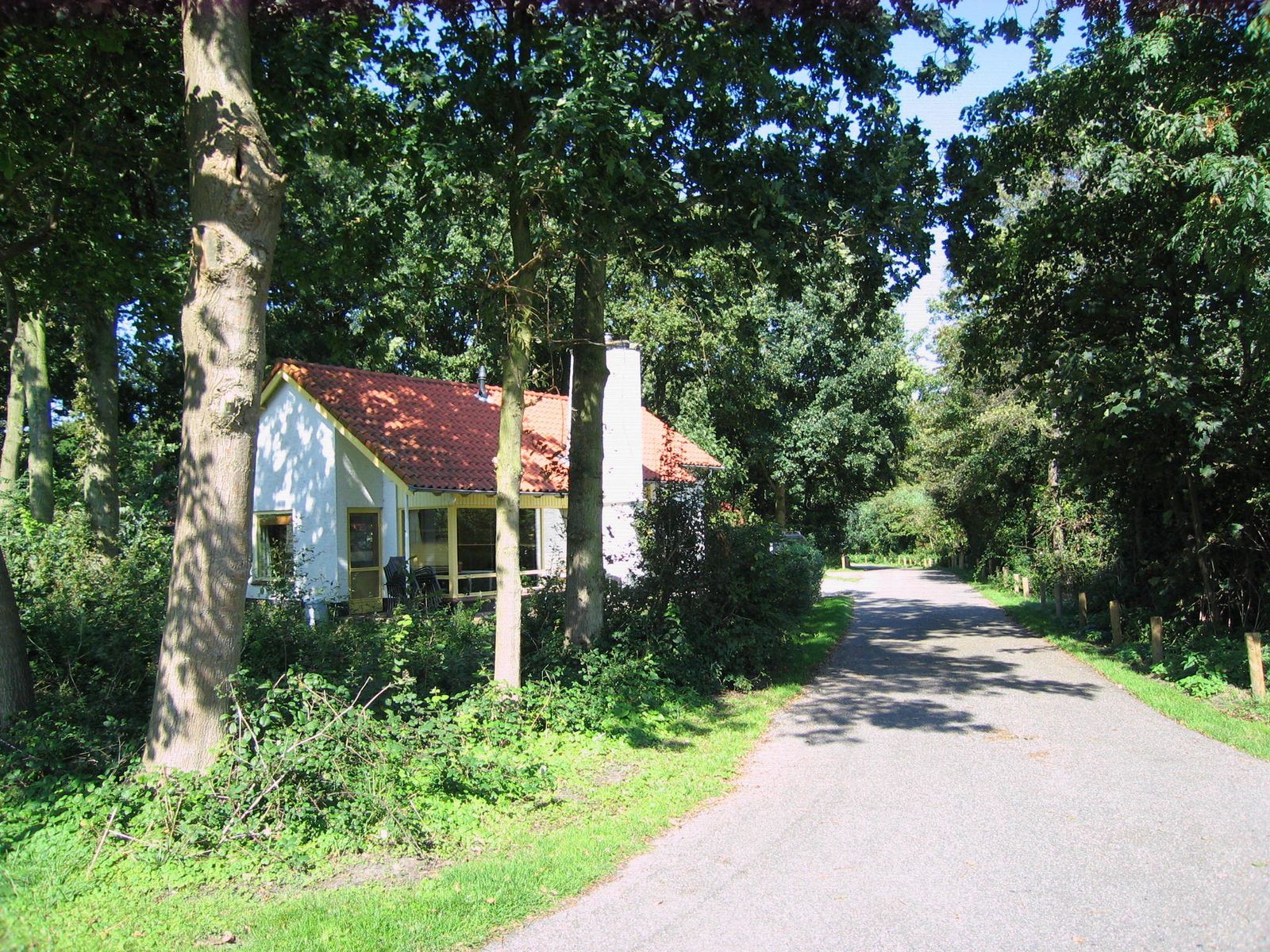 Ferienhaus Madelief