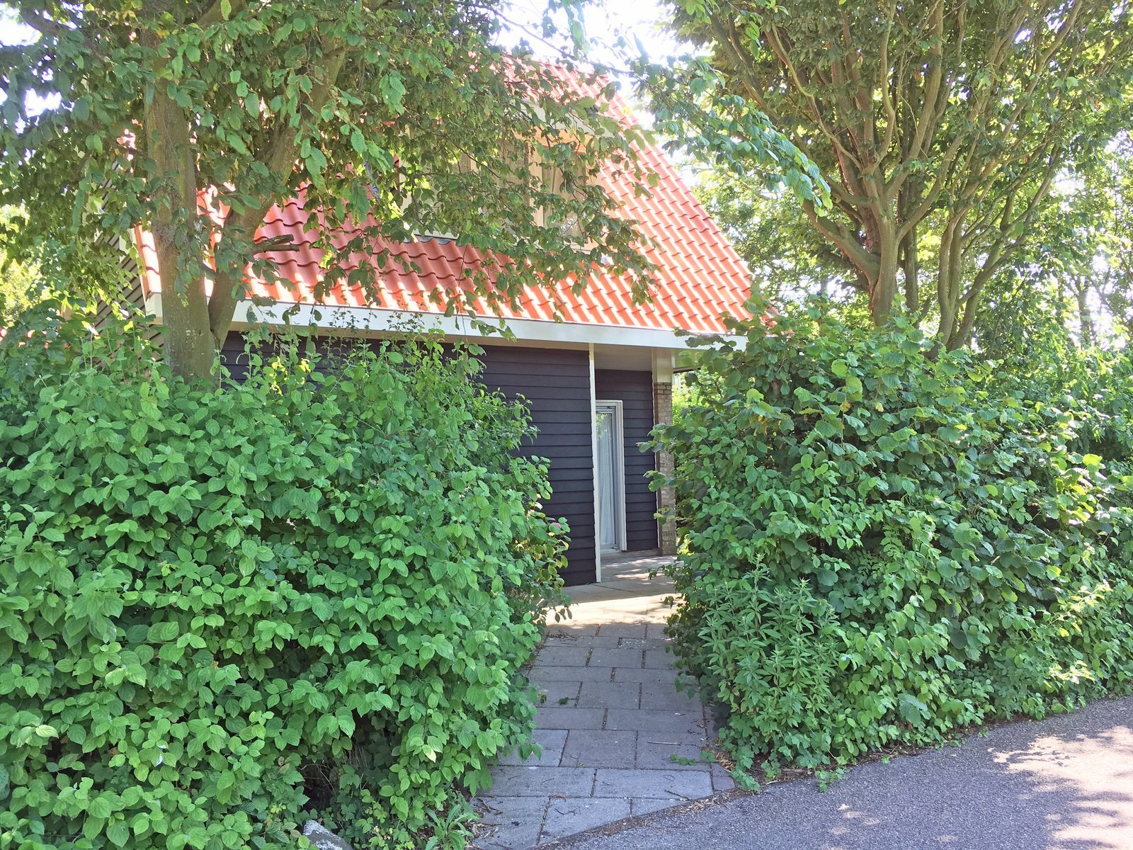 Ferienhaus Zonlicht