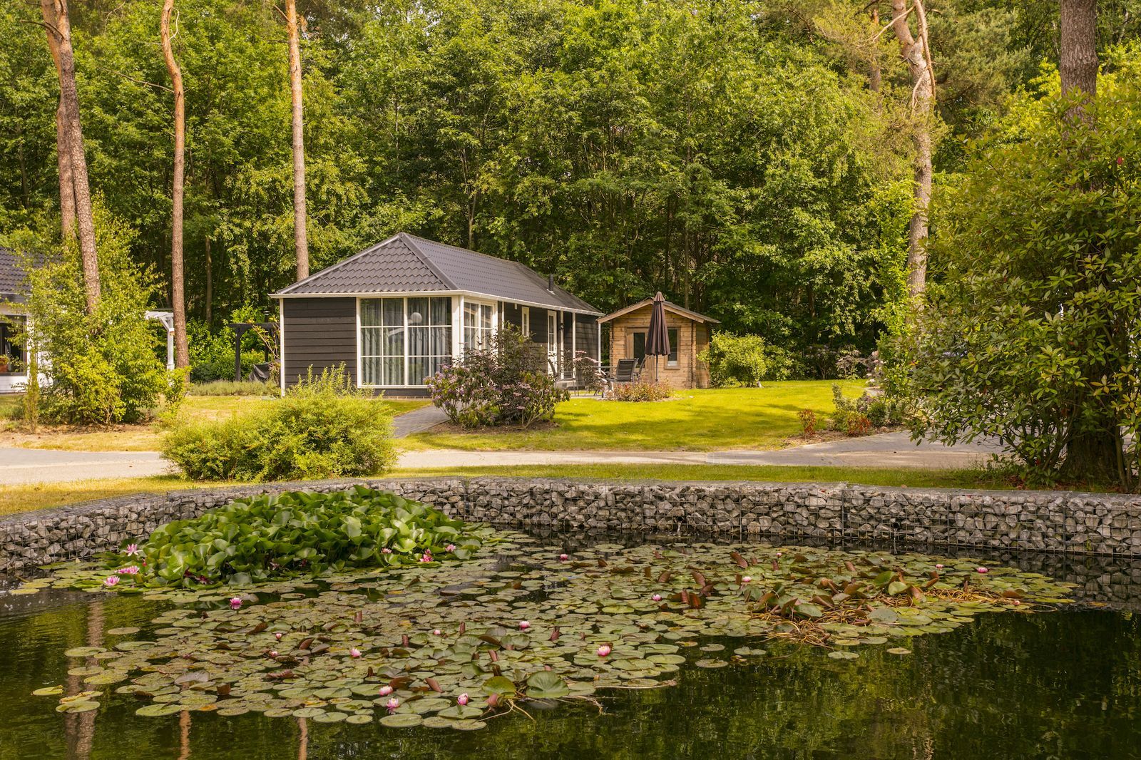 Lodge Kwikstaart C29 - 6 people