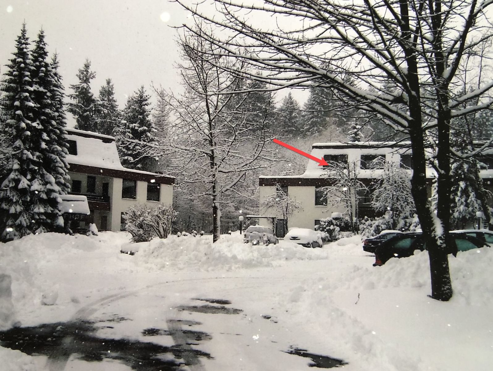 Ferienwohnung  - In der Büre 10-R | Winterberg