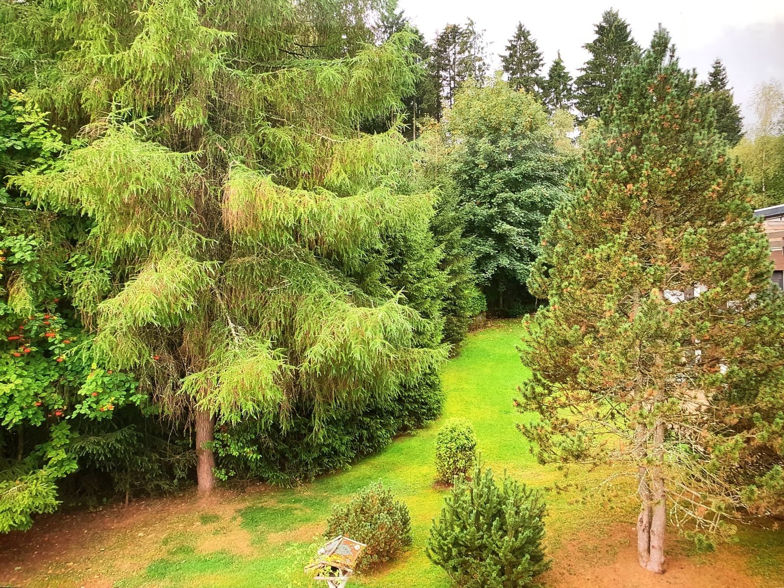 Ferienwohnung  - In der Büre 10-R | Winterberg