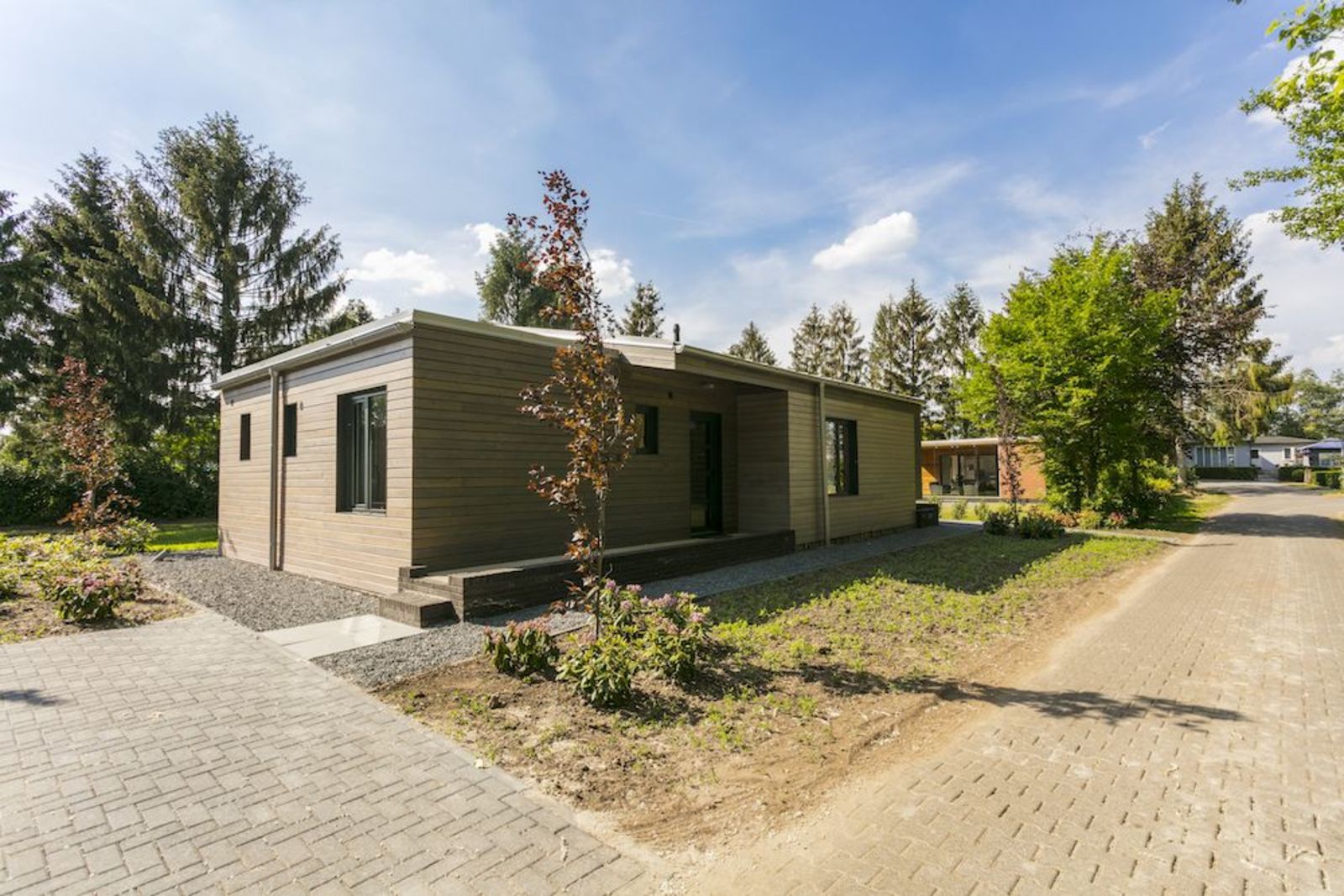 Boslodge Olivia - 4 personen