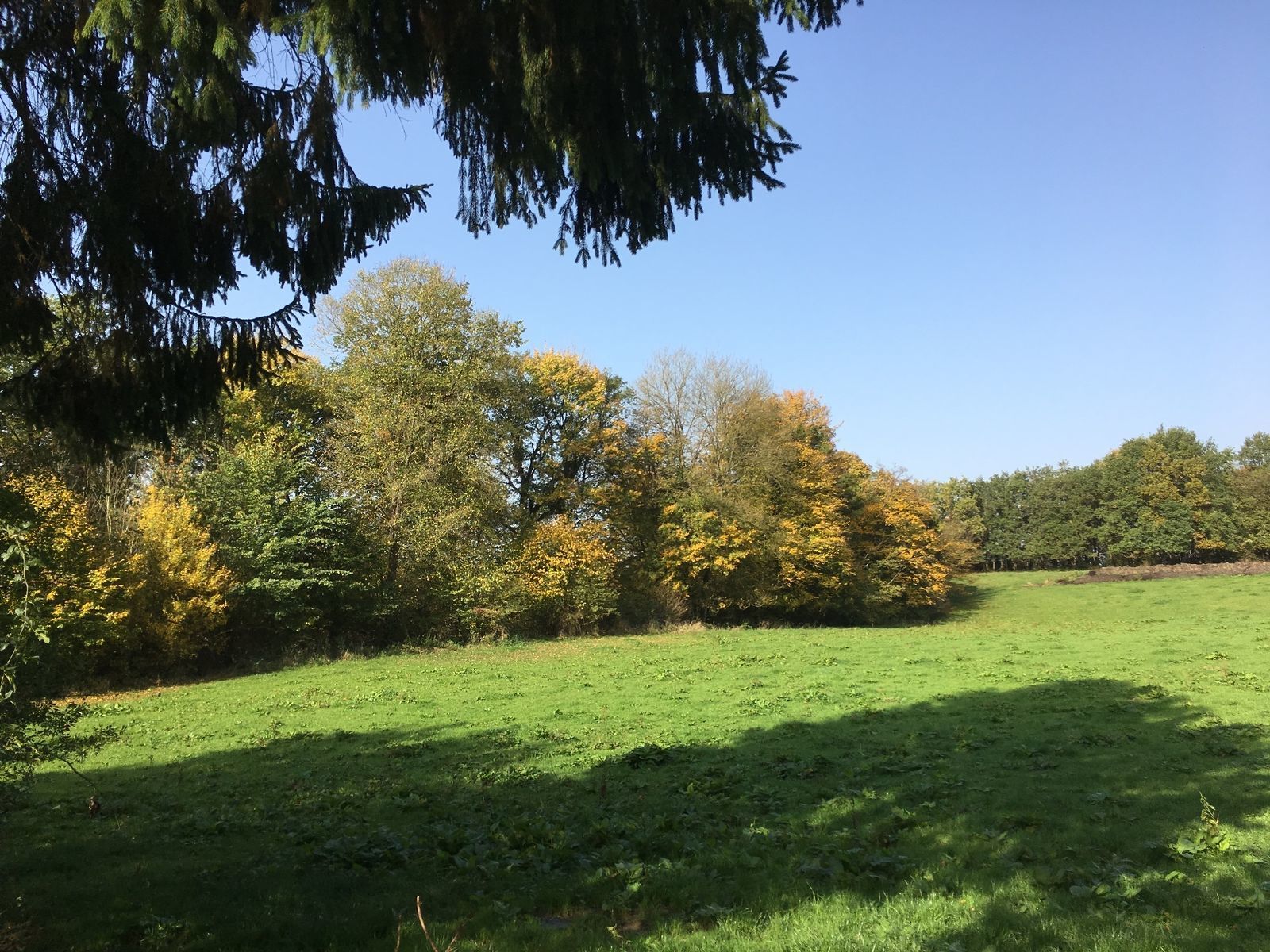 Villa les Pins Ardennen - luxe wellness vakantiehuis voor families