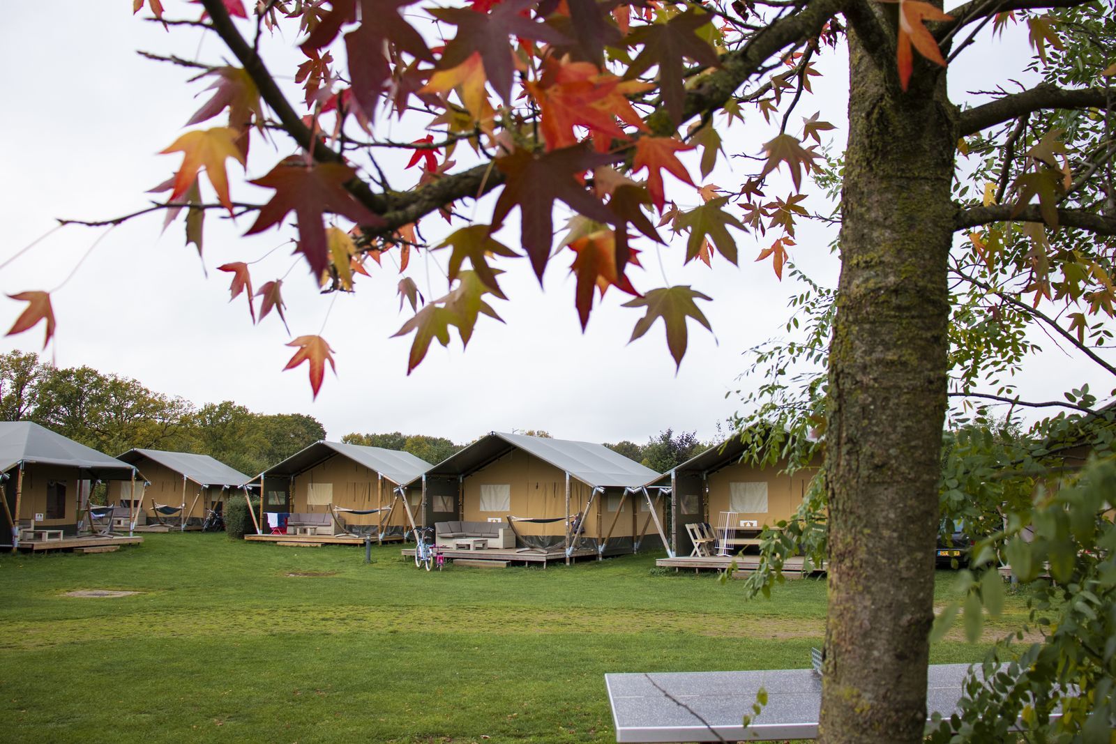 Luxe Safaritent | 6 personen
