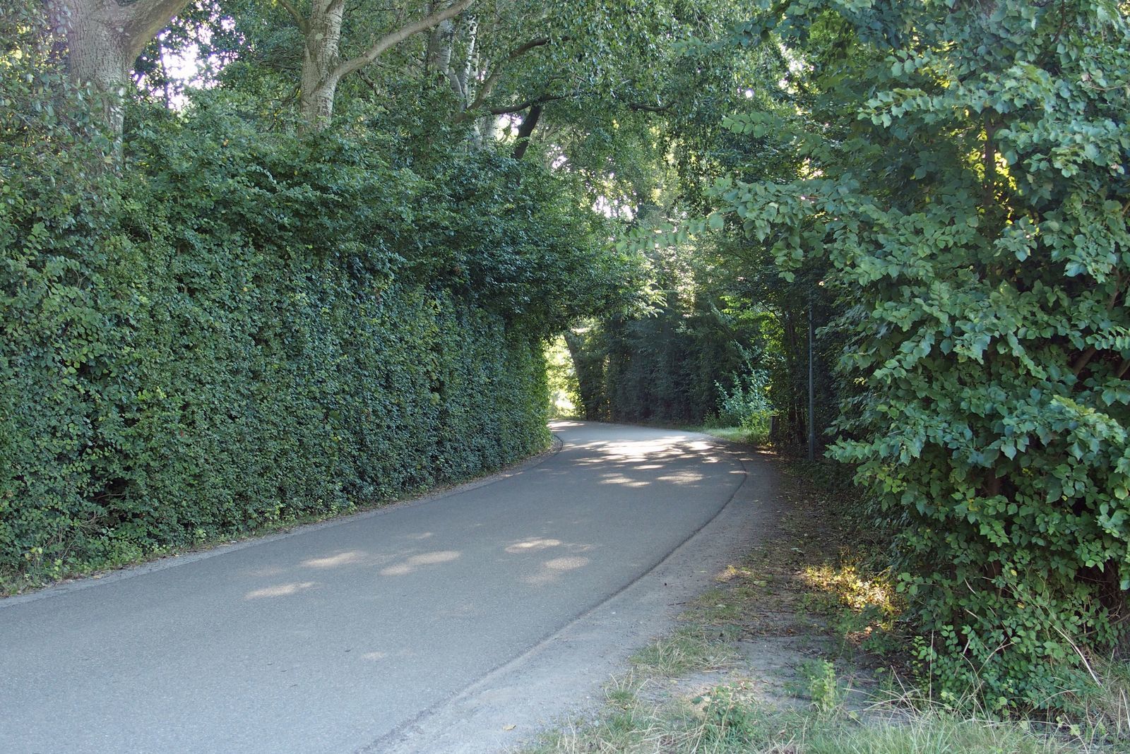 Ferienhaus Druif